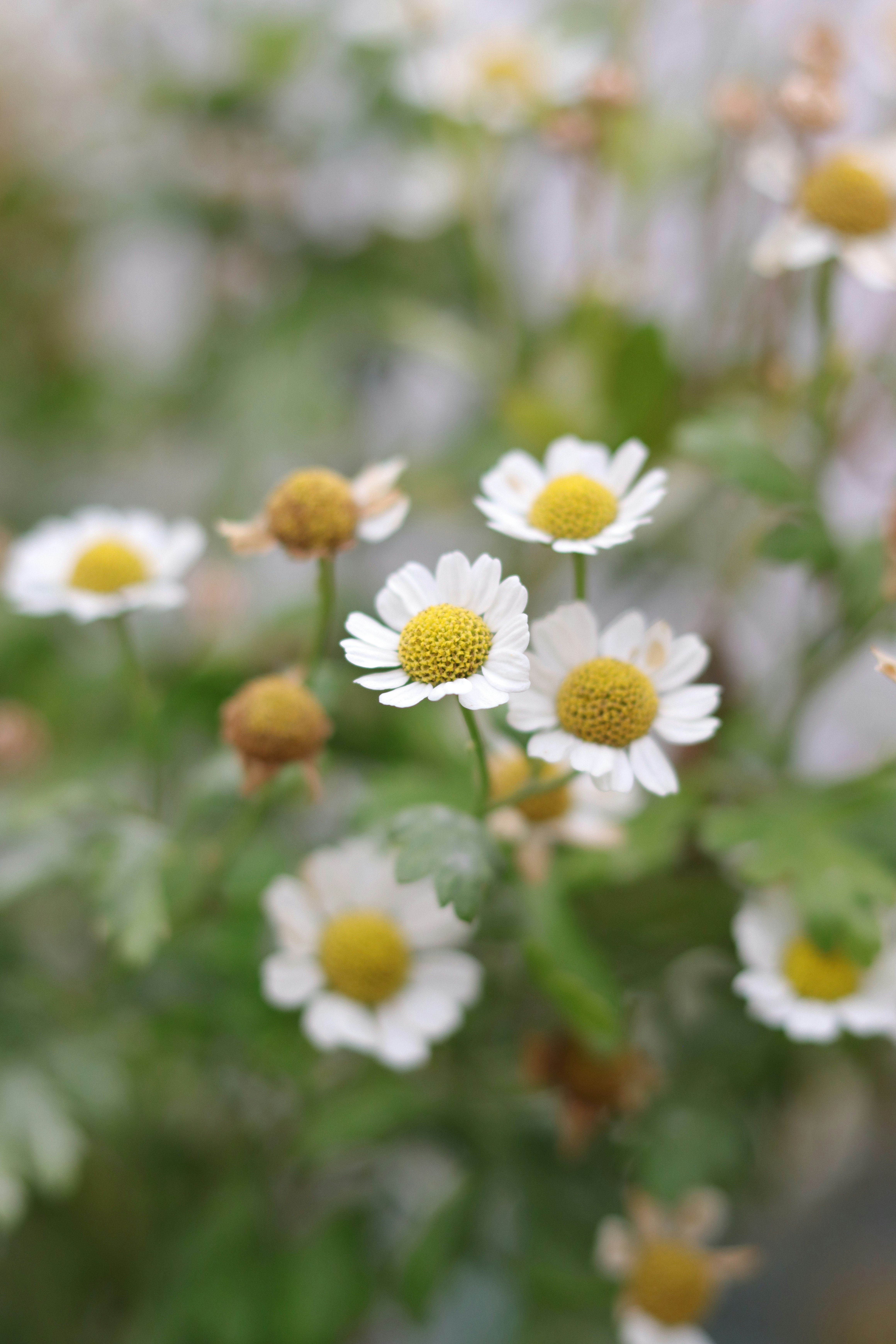 Photo by lisakvictor