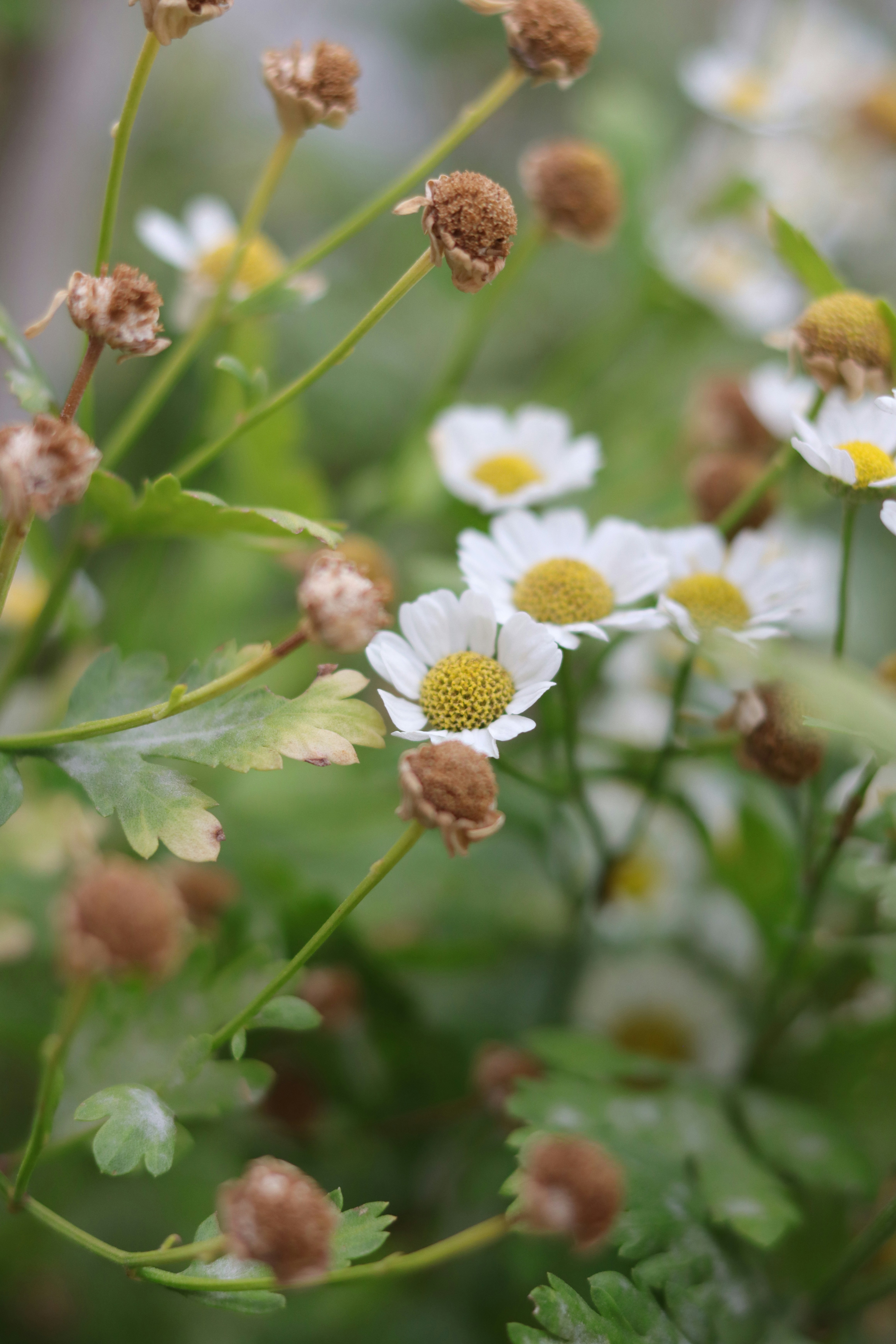 Photo by lisakvictor