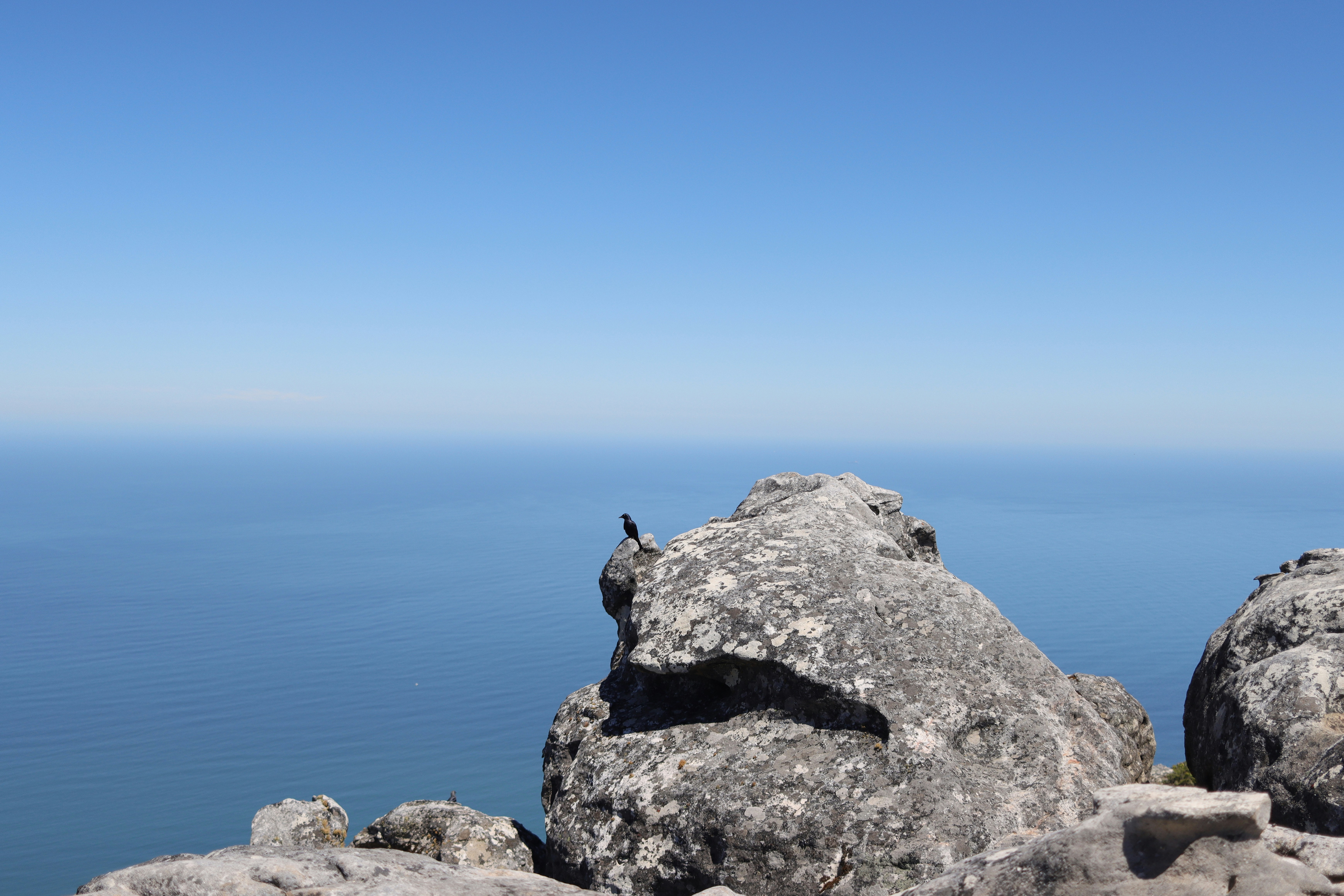 Photo by lisakvictor