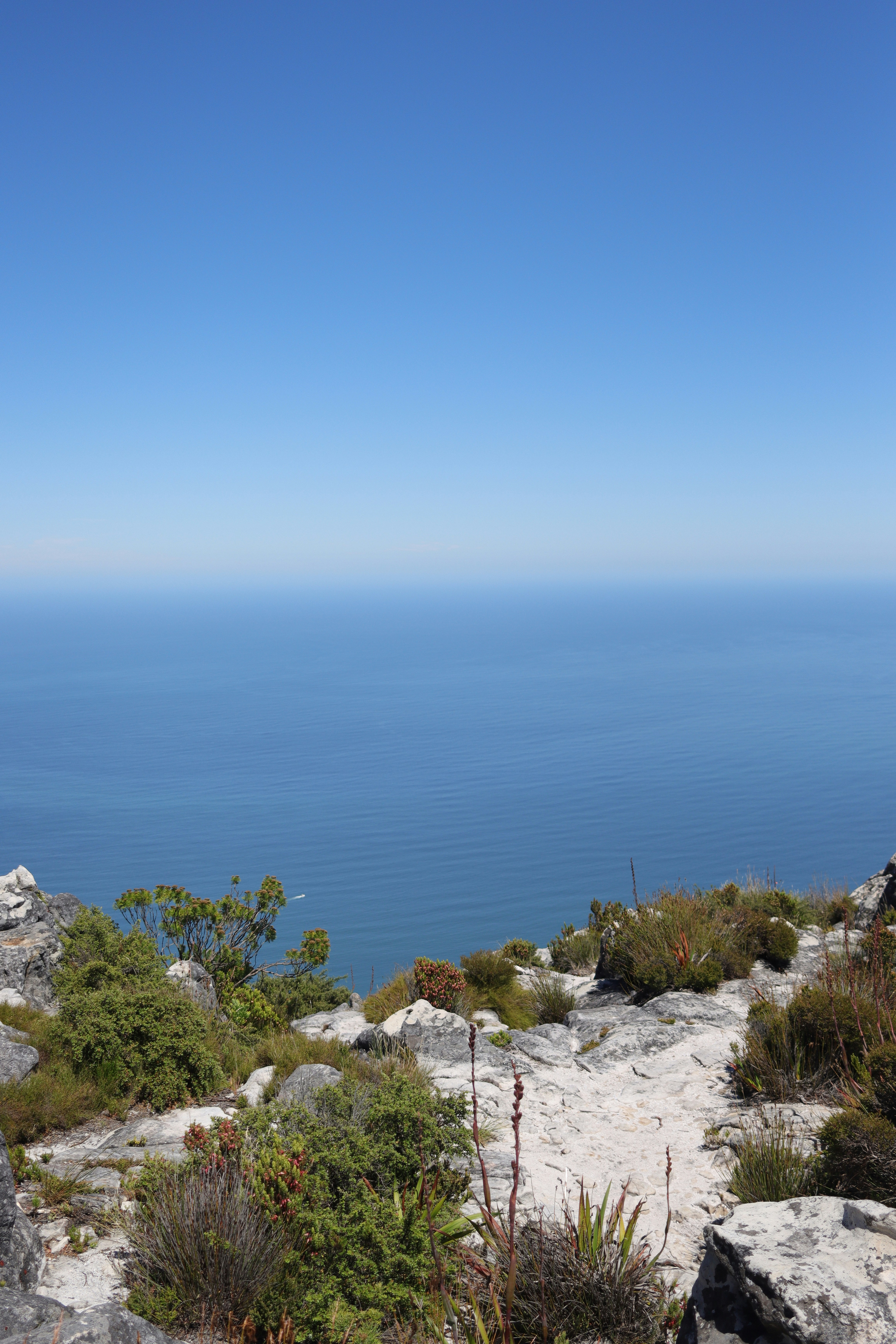 Photo by lisakvictor