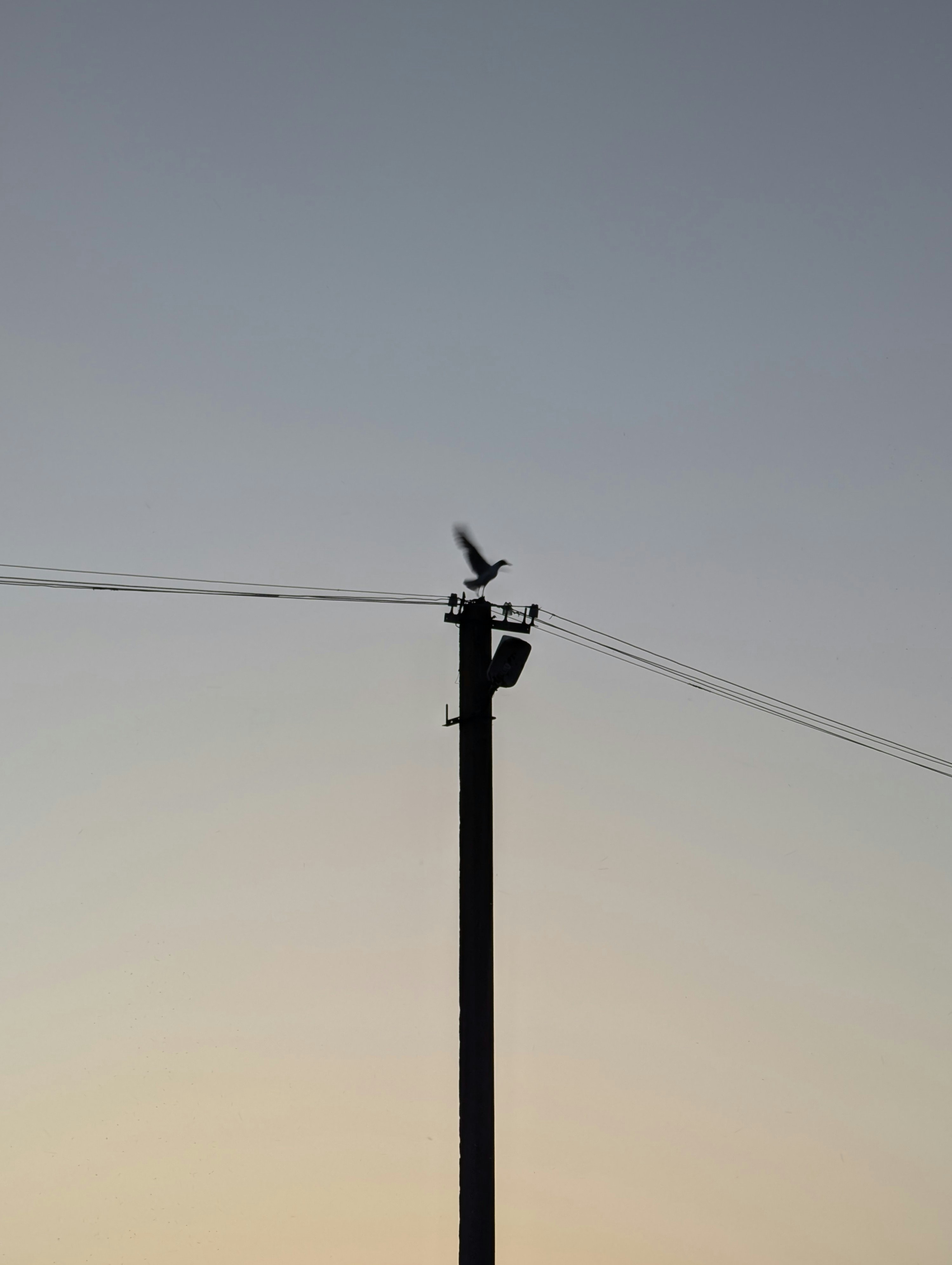 Photo by vitaliy_naumenko