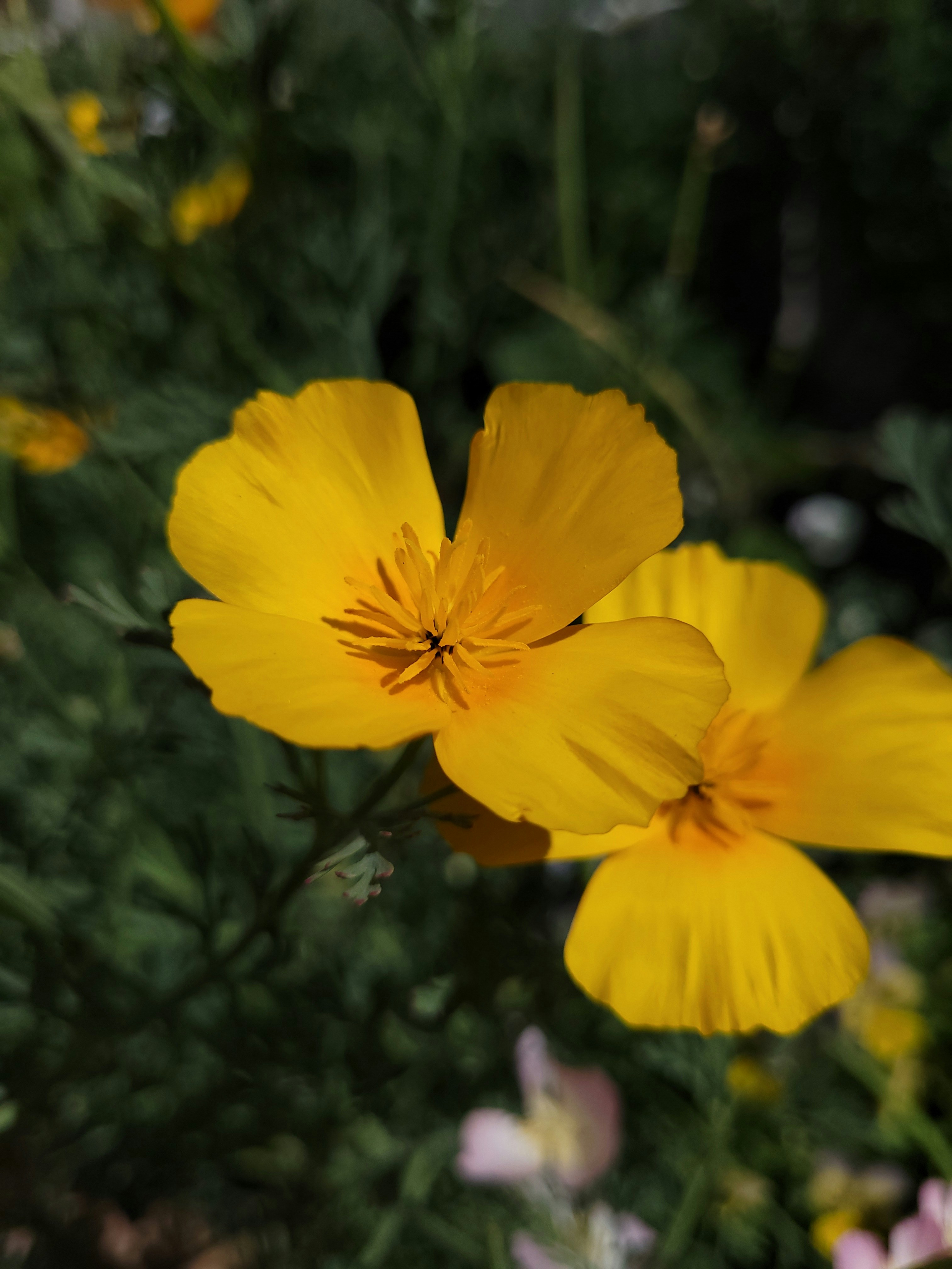 Photo by lisakvictor