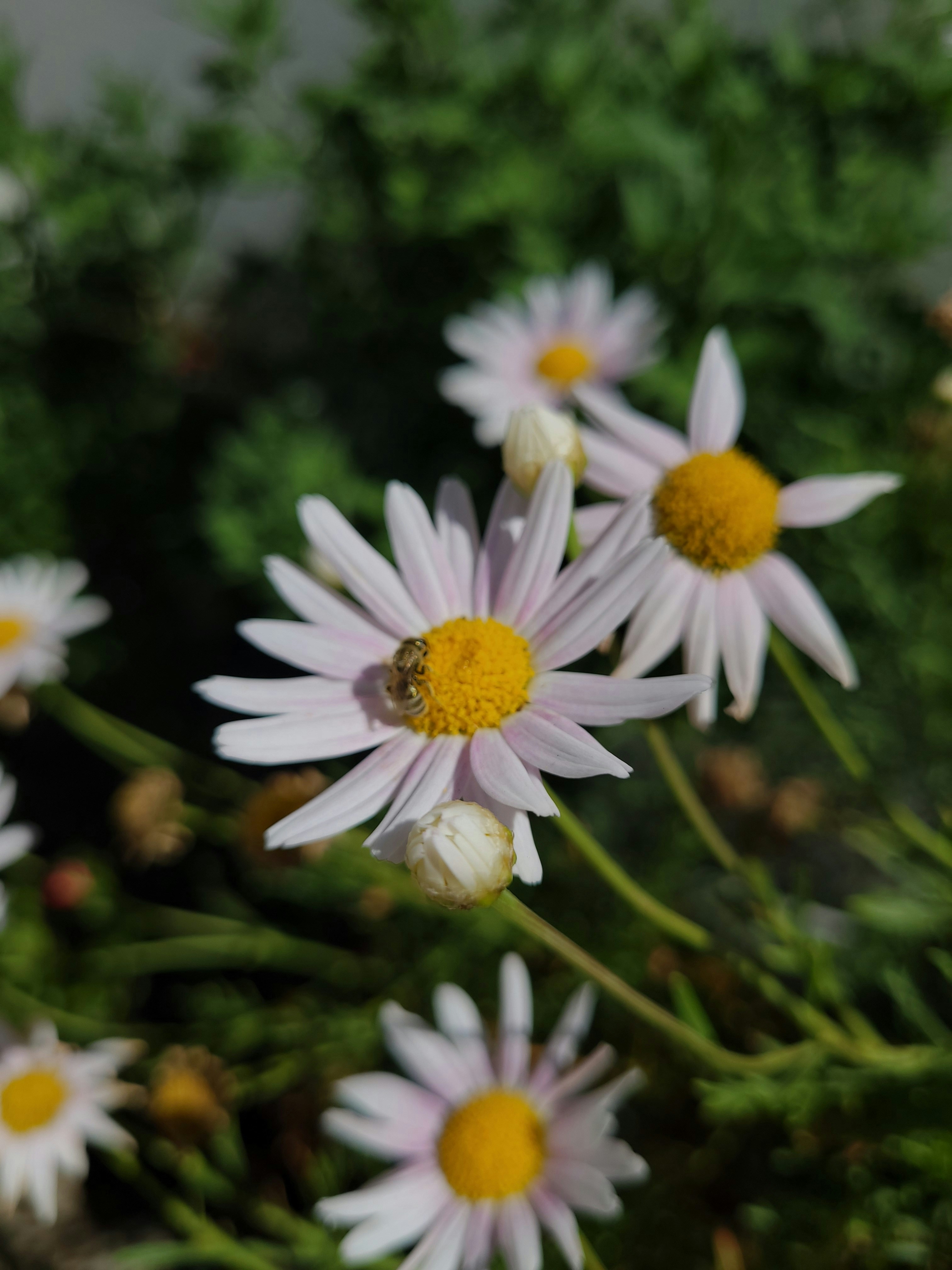 Photo by lisakvictor