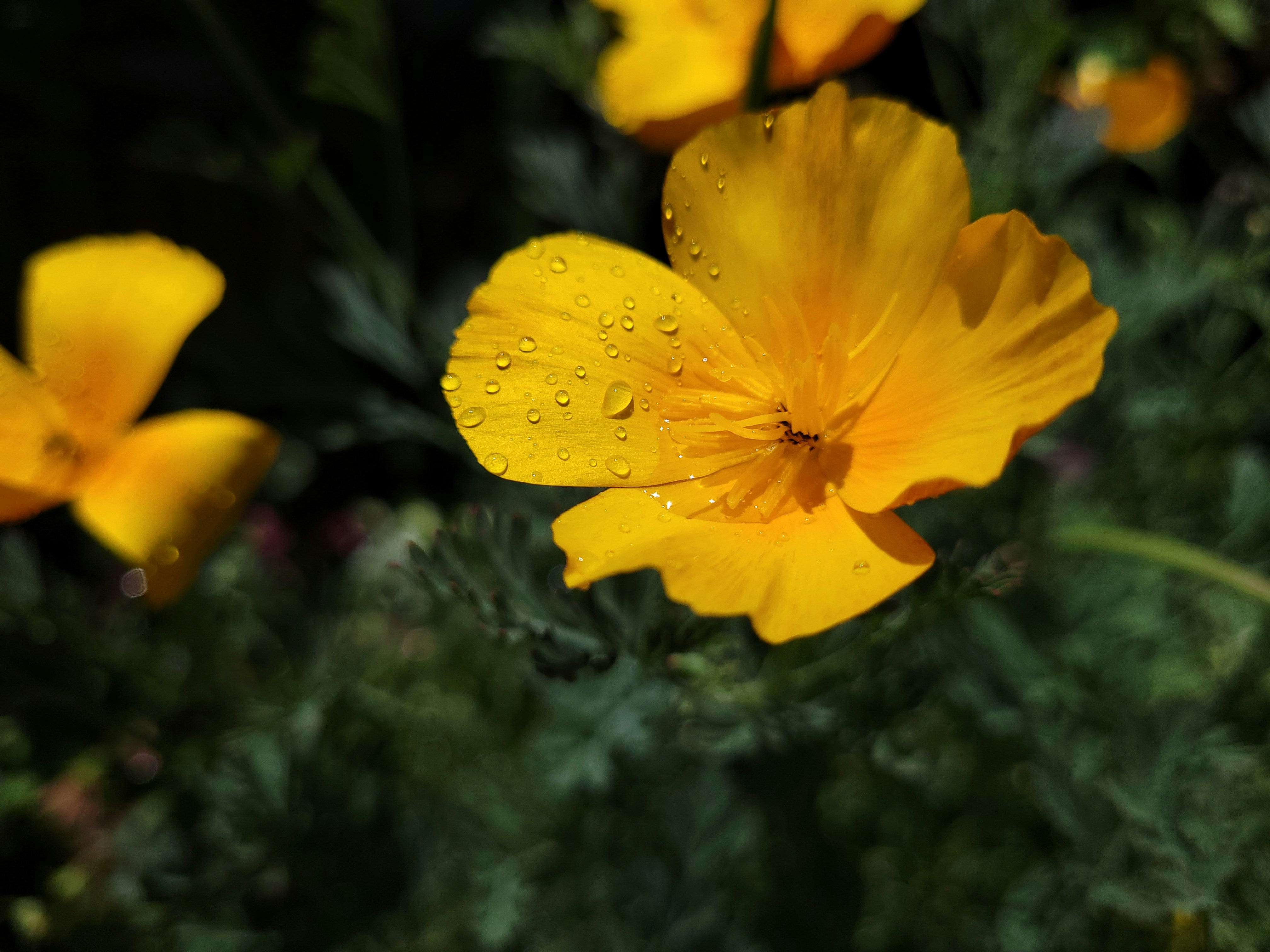 Photo by lisakvictor