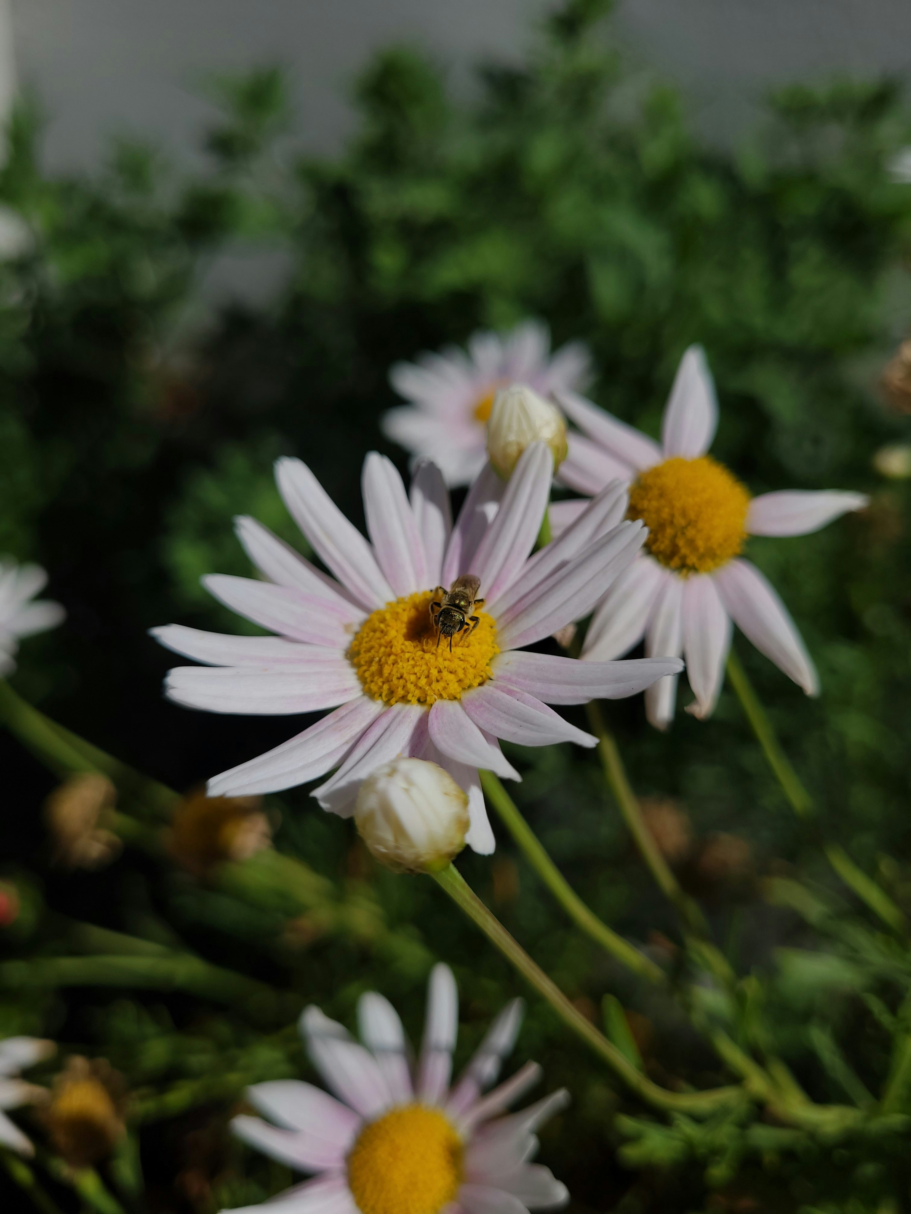 Photo by lisakvictor