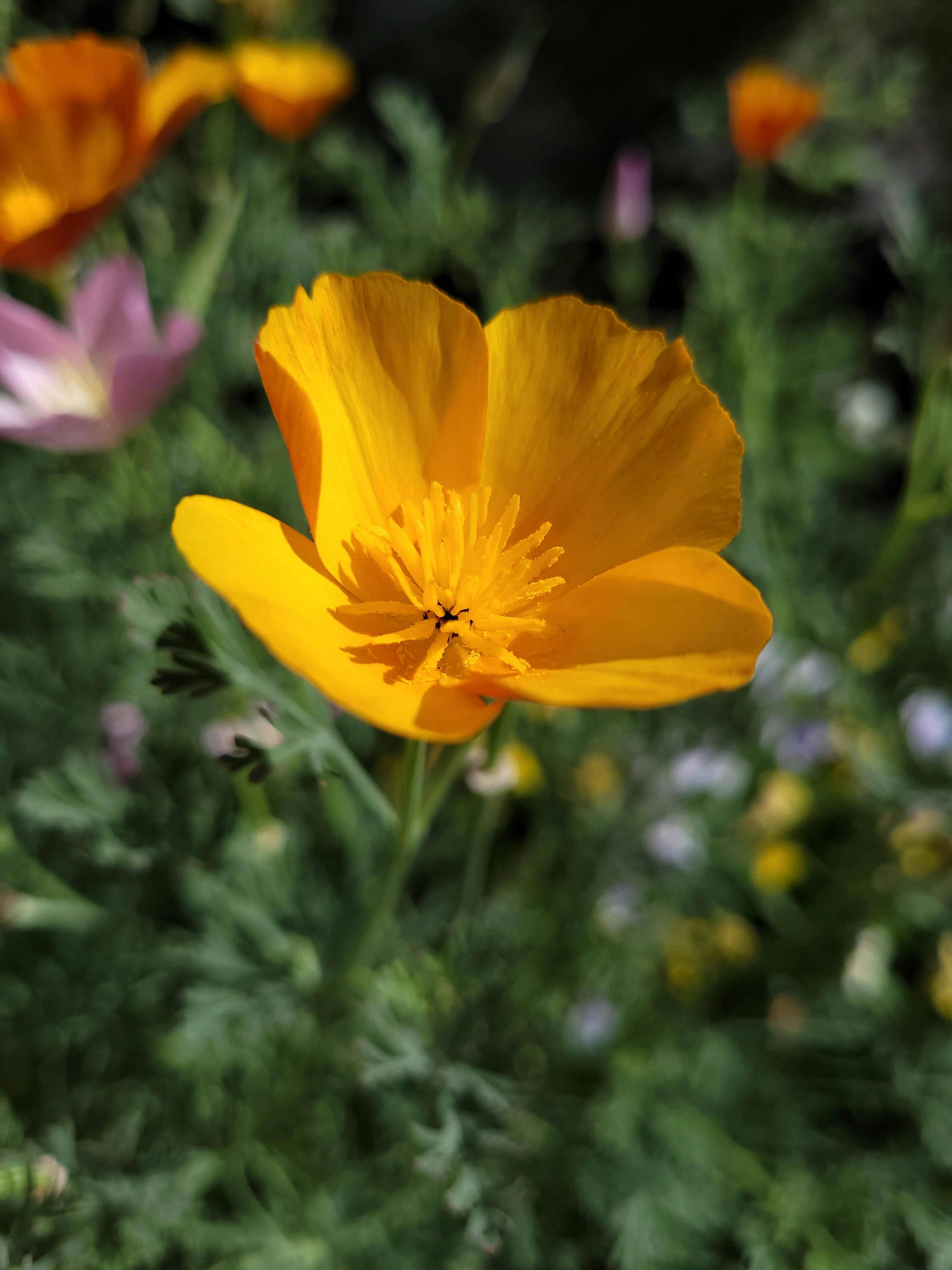 Photo by lisakvictor