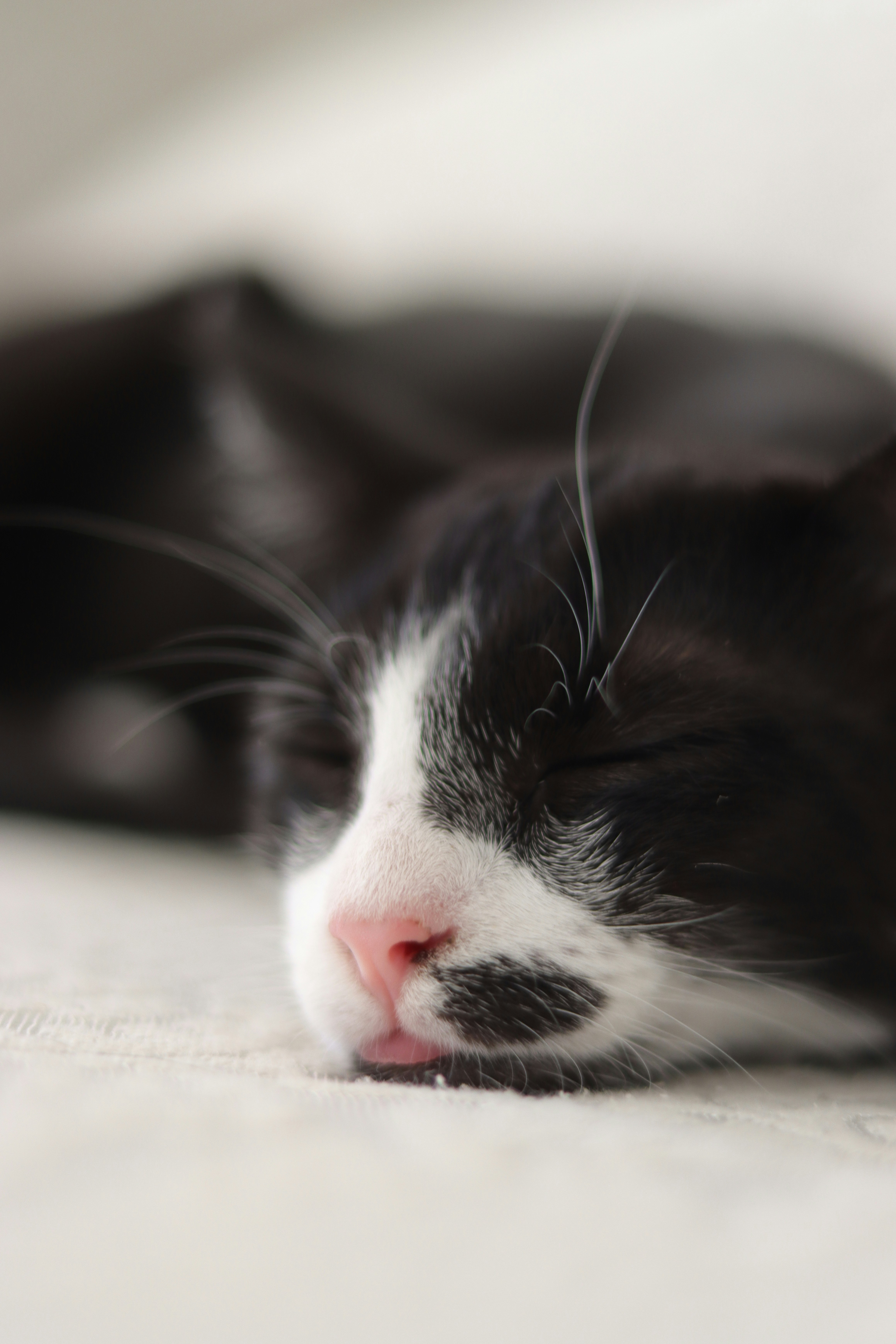 Photo by lisakvictor