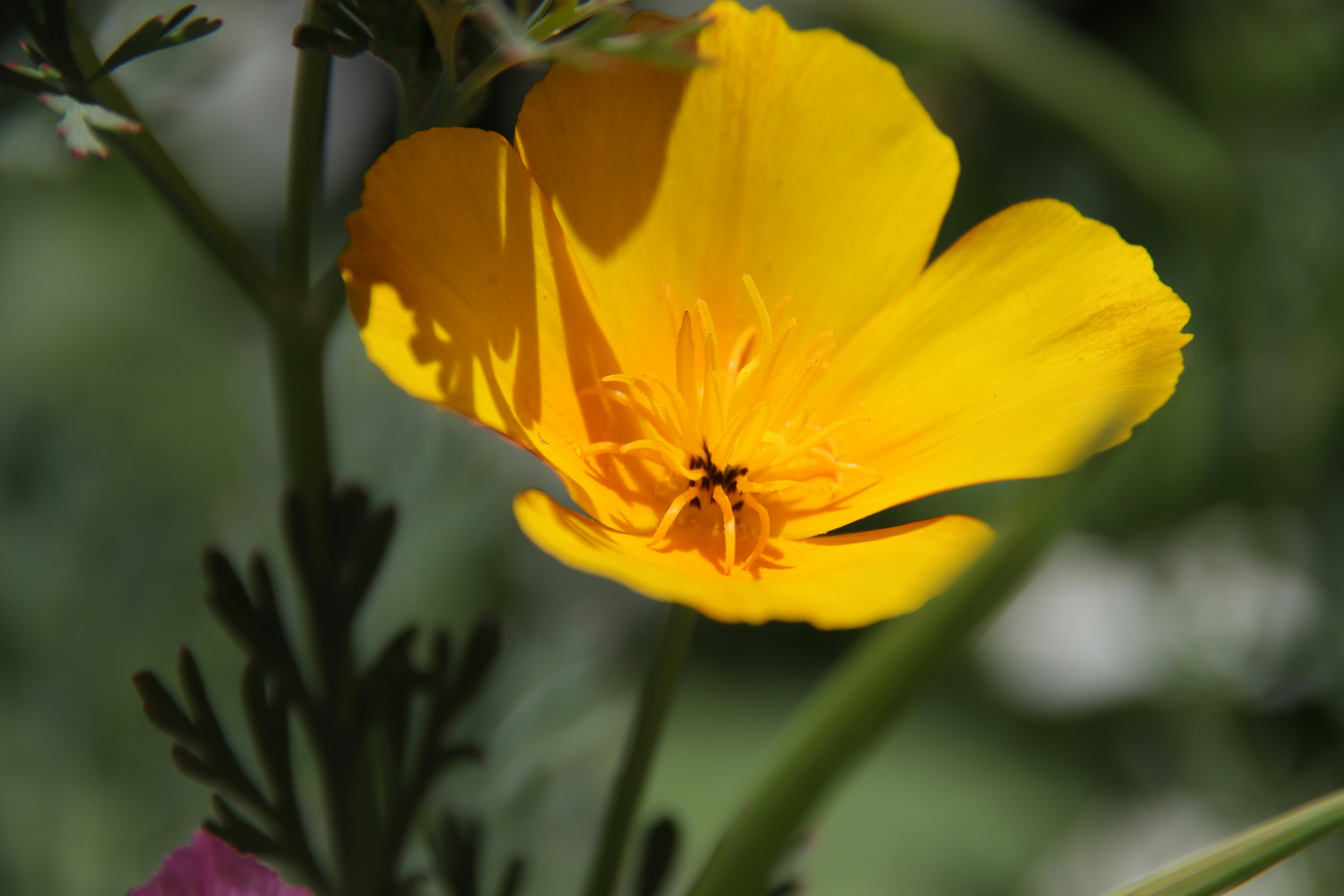 Photo by lisakvictor