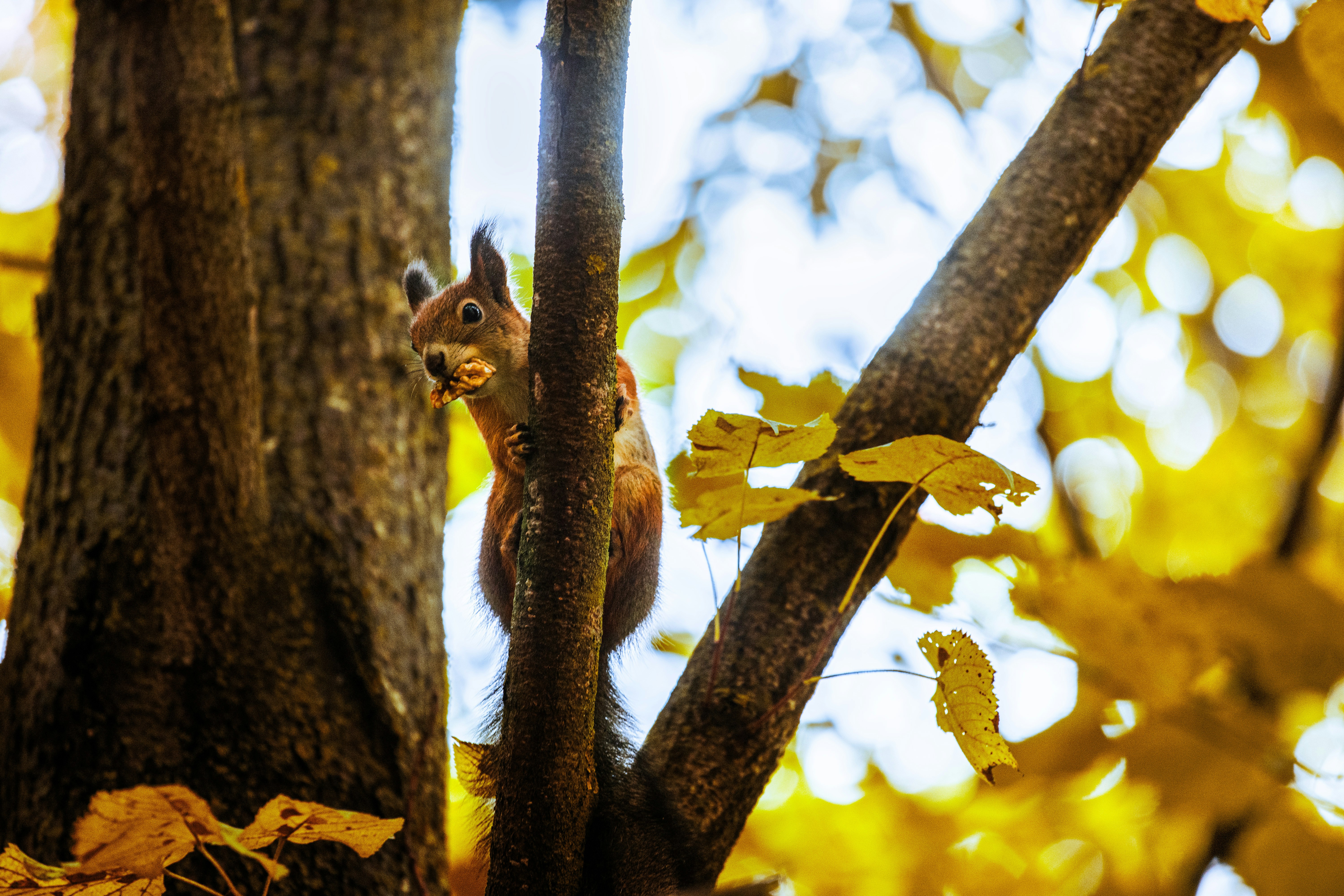 Photo by mariamaximova