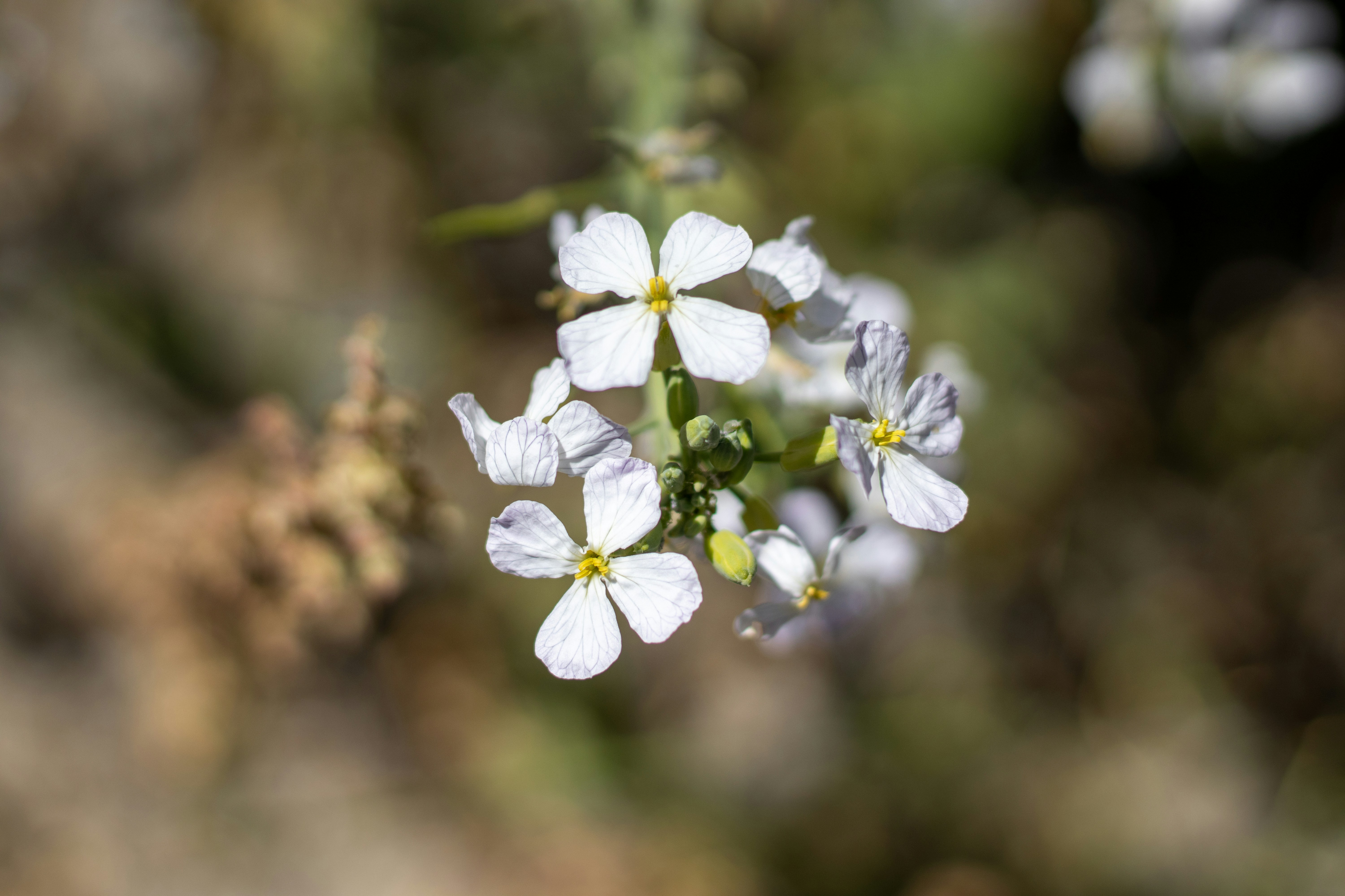 Photo by akshat_jhingran