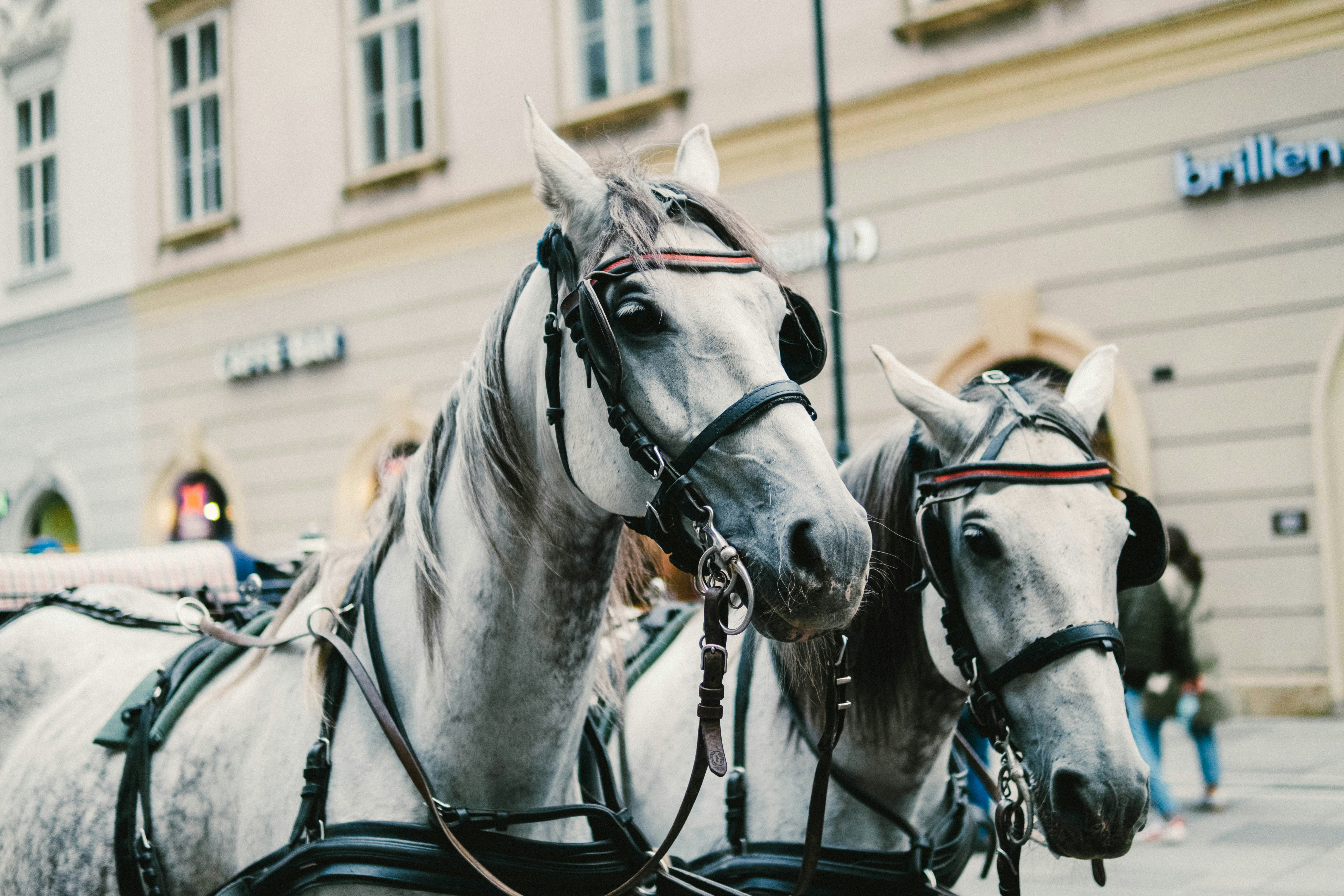 Photo by 17allansfilms