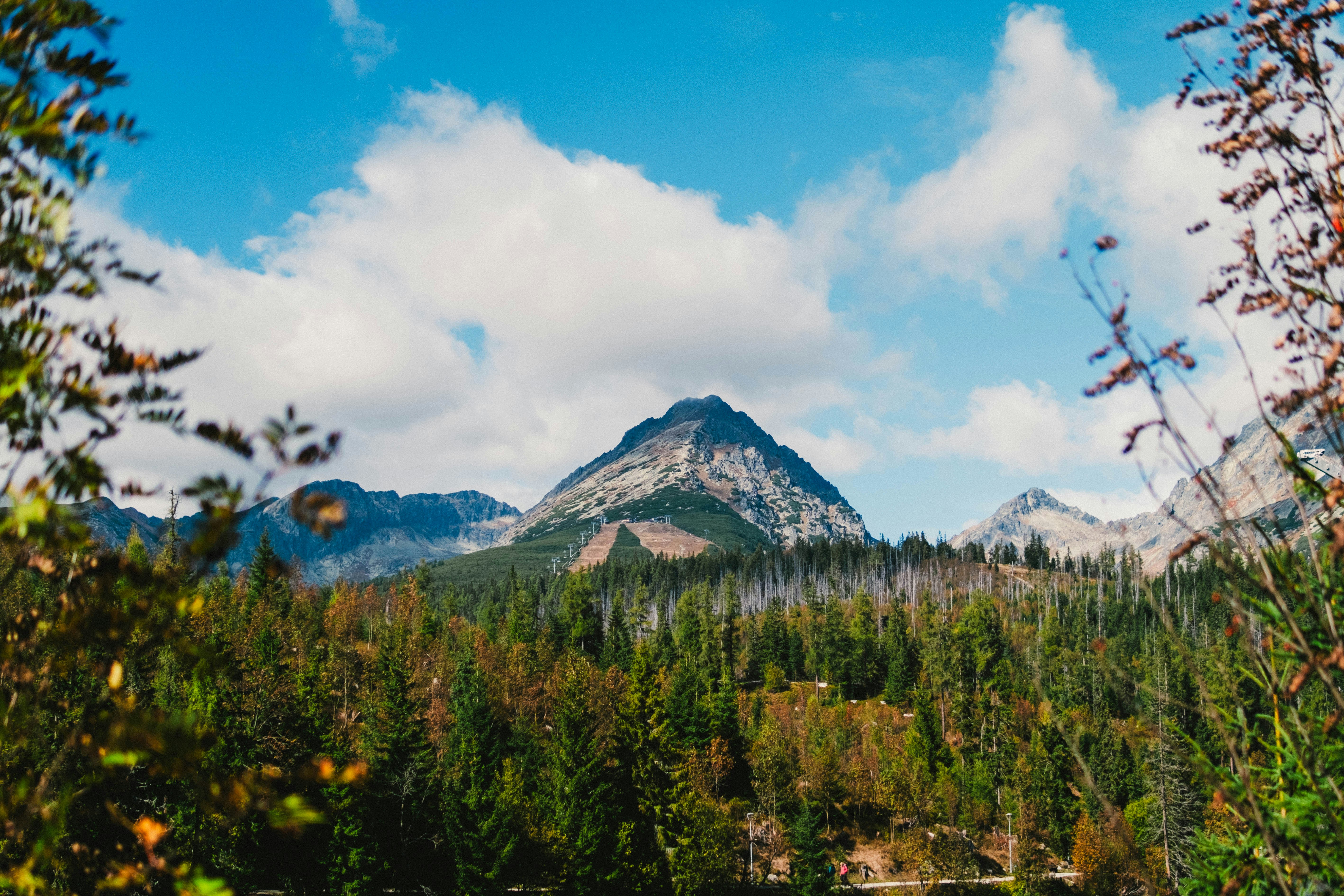 Photo by 17allansfilms