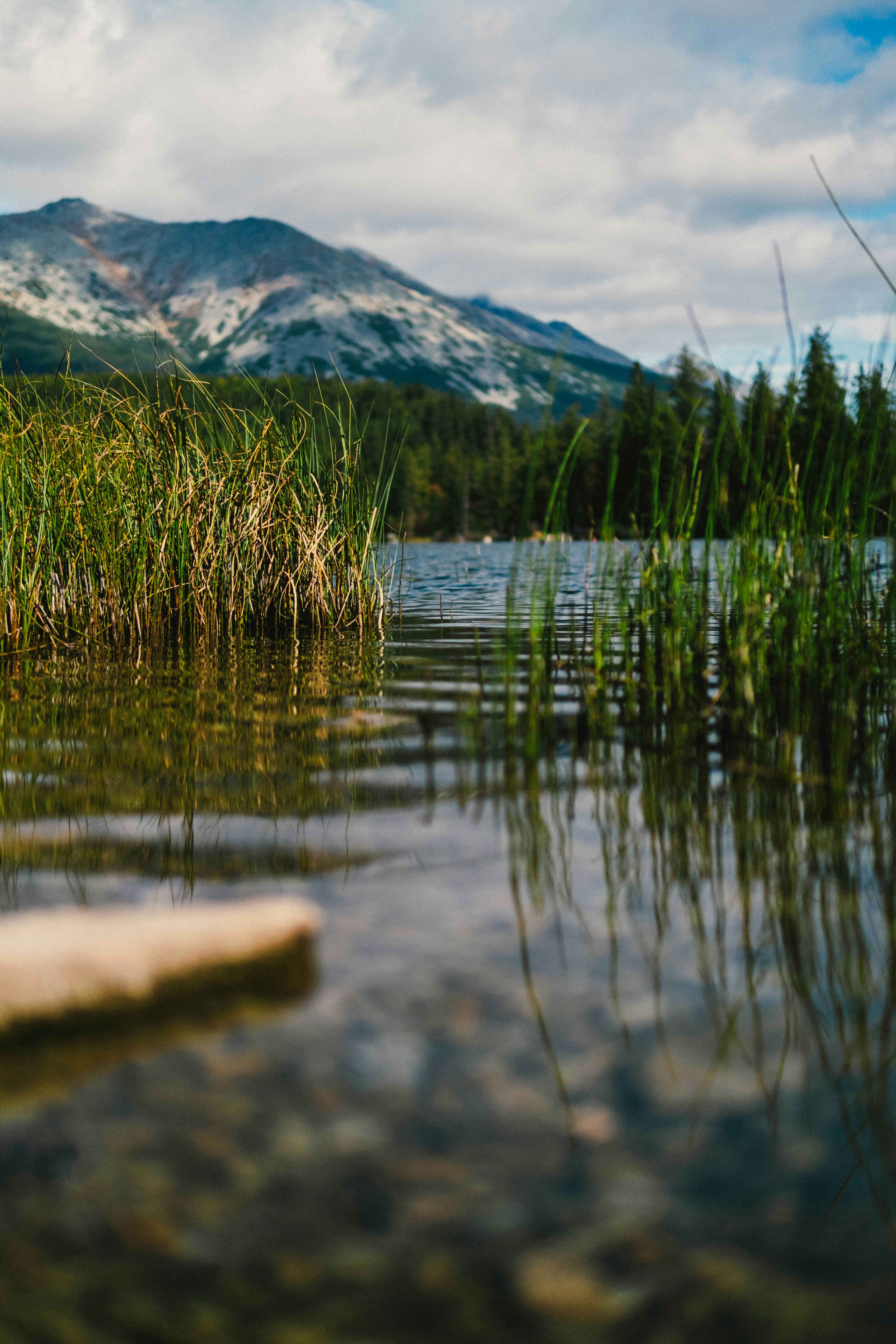 Photo by 17allansfilms