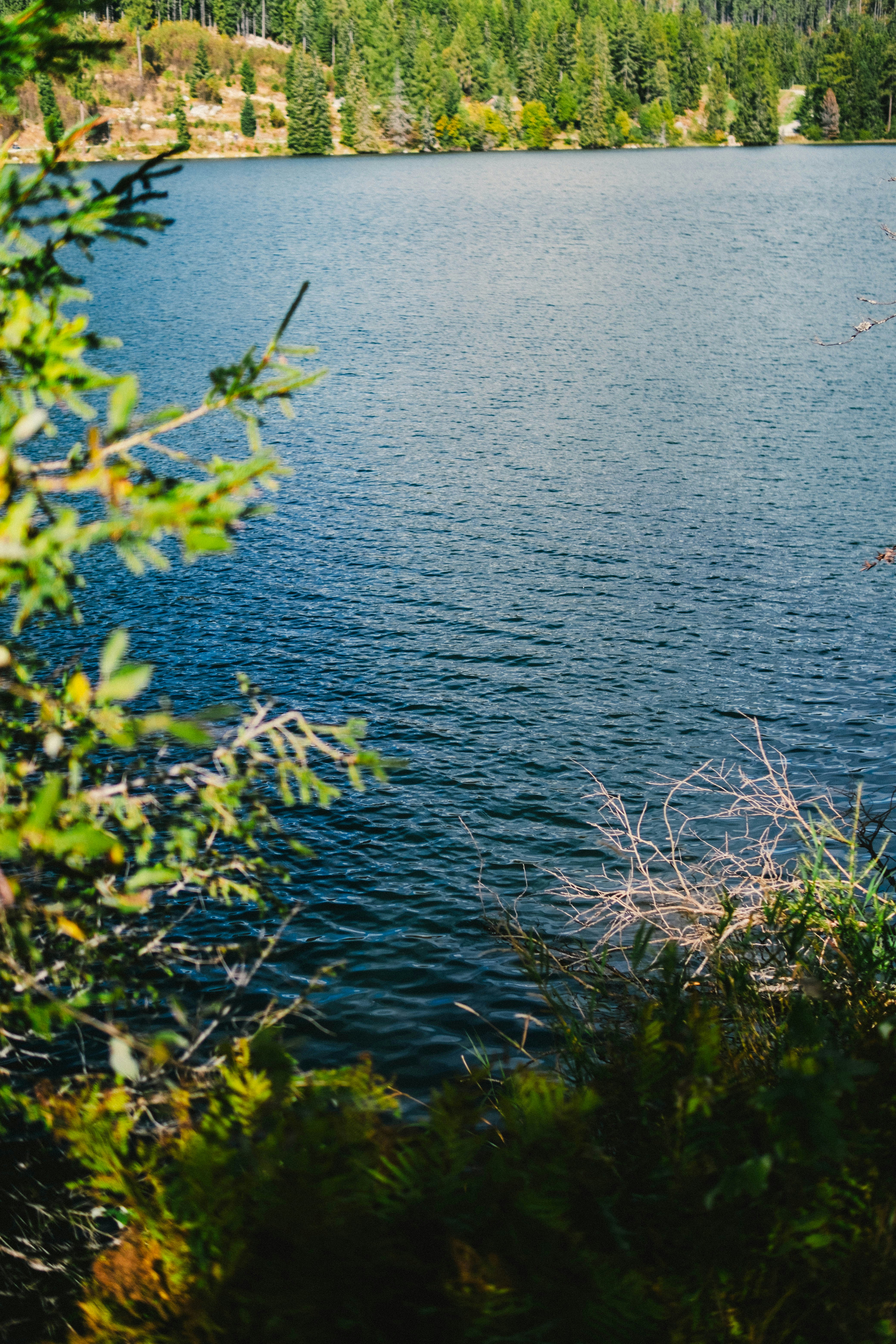 Photo by 17allansfilms