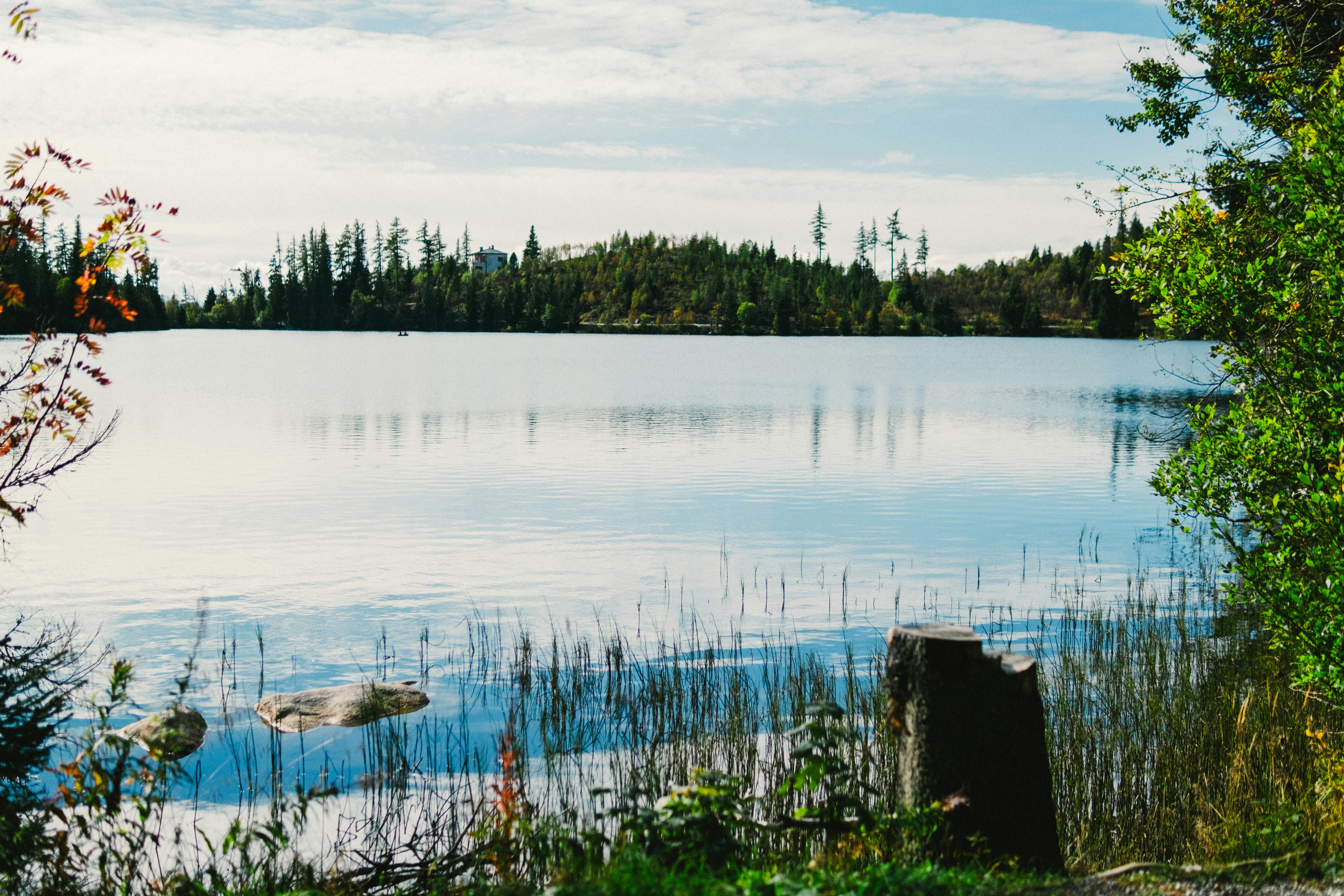 Photo by 17allansfilms