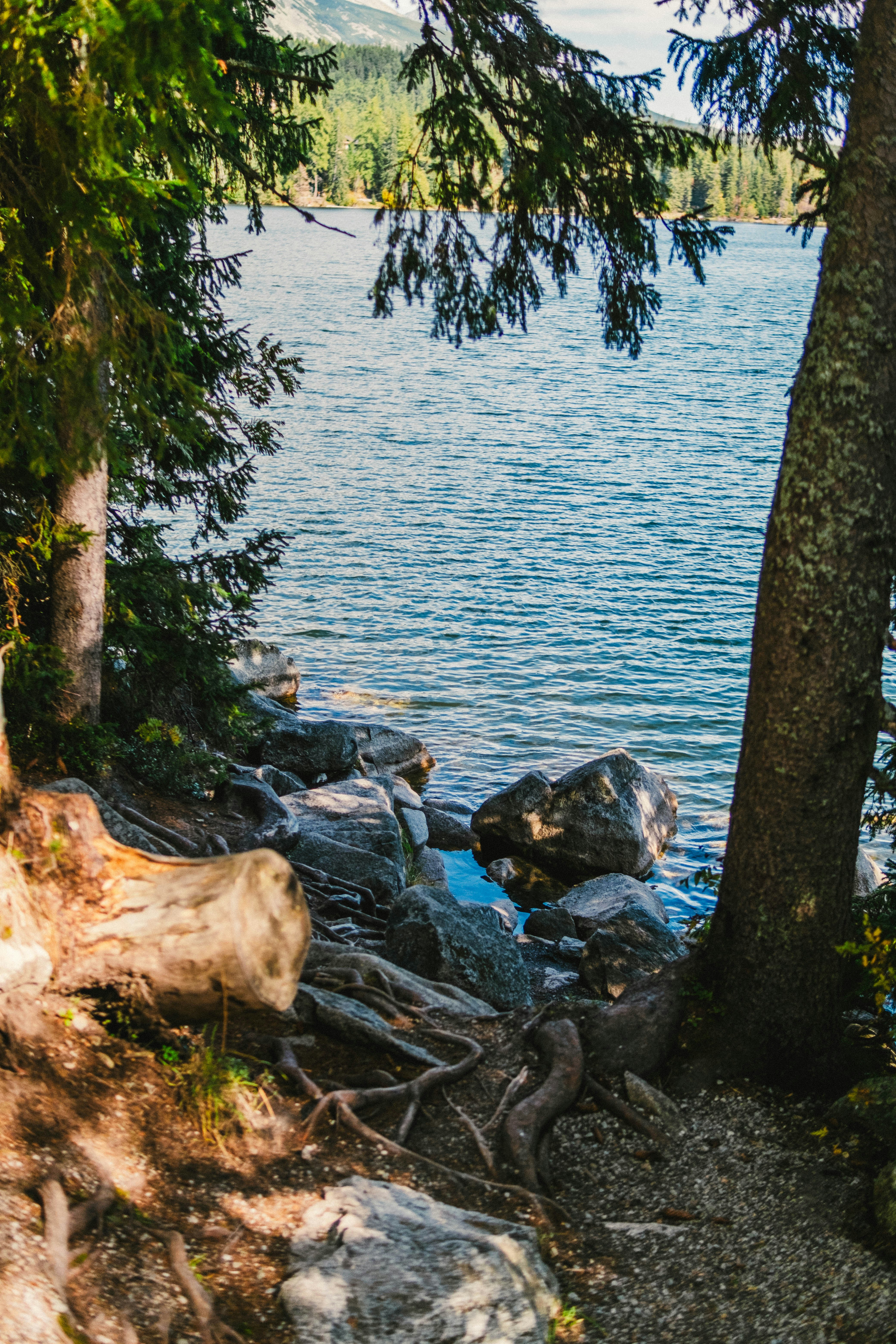 Photo by 17allansfilms