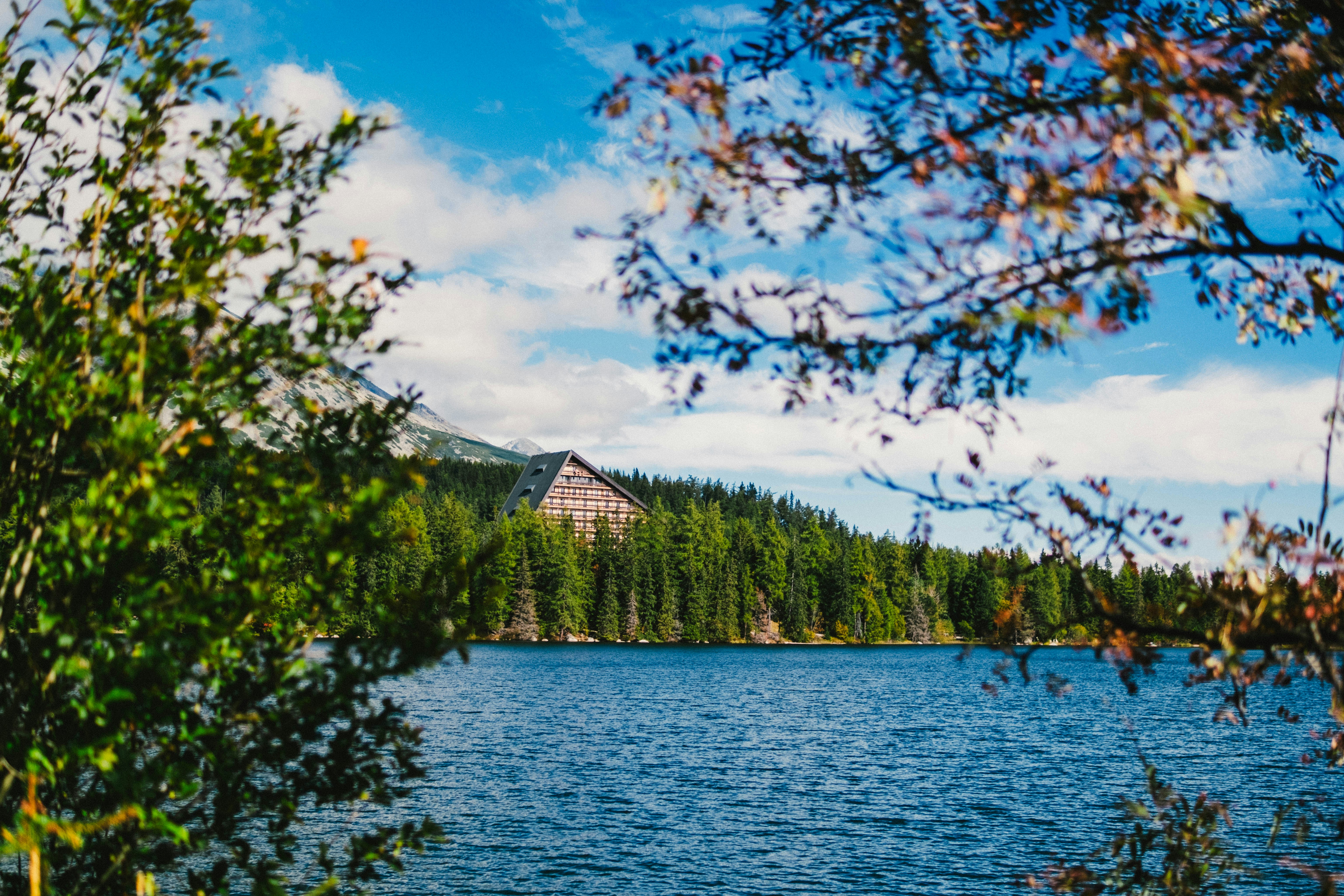 Photo by 17allansfilms