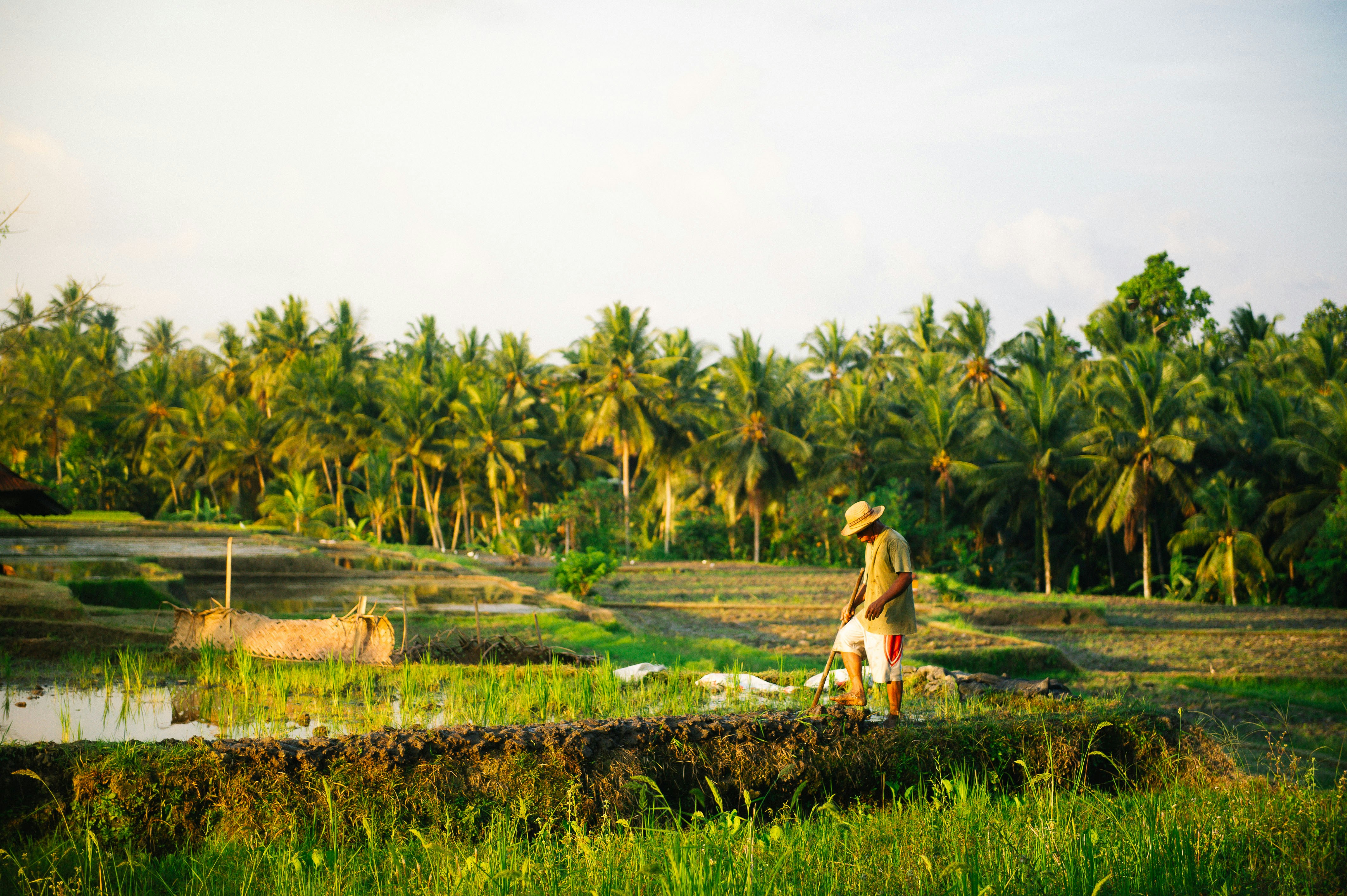A man riding a horse across a lush green field