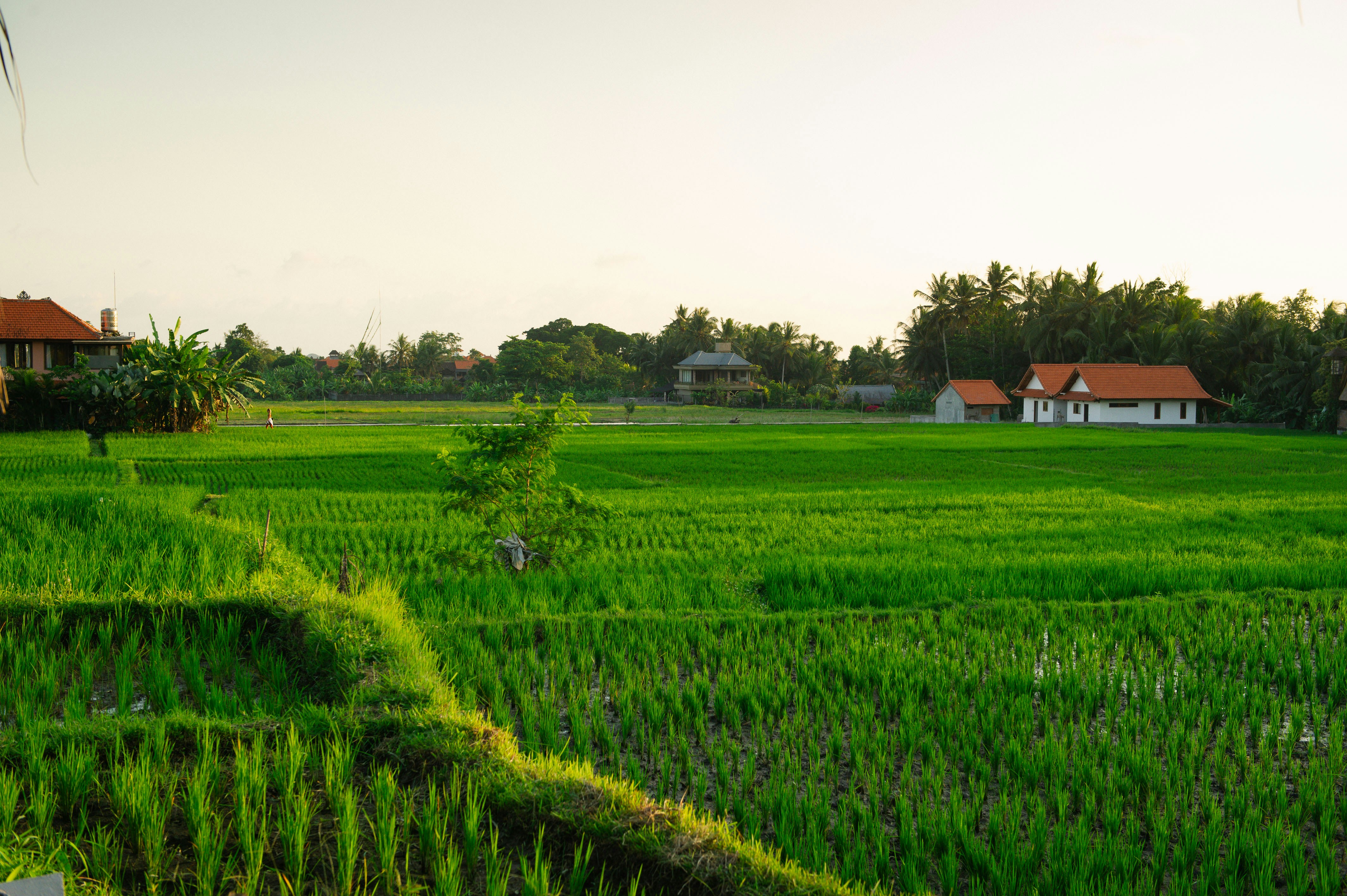 Photo by danielstiel