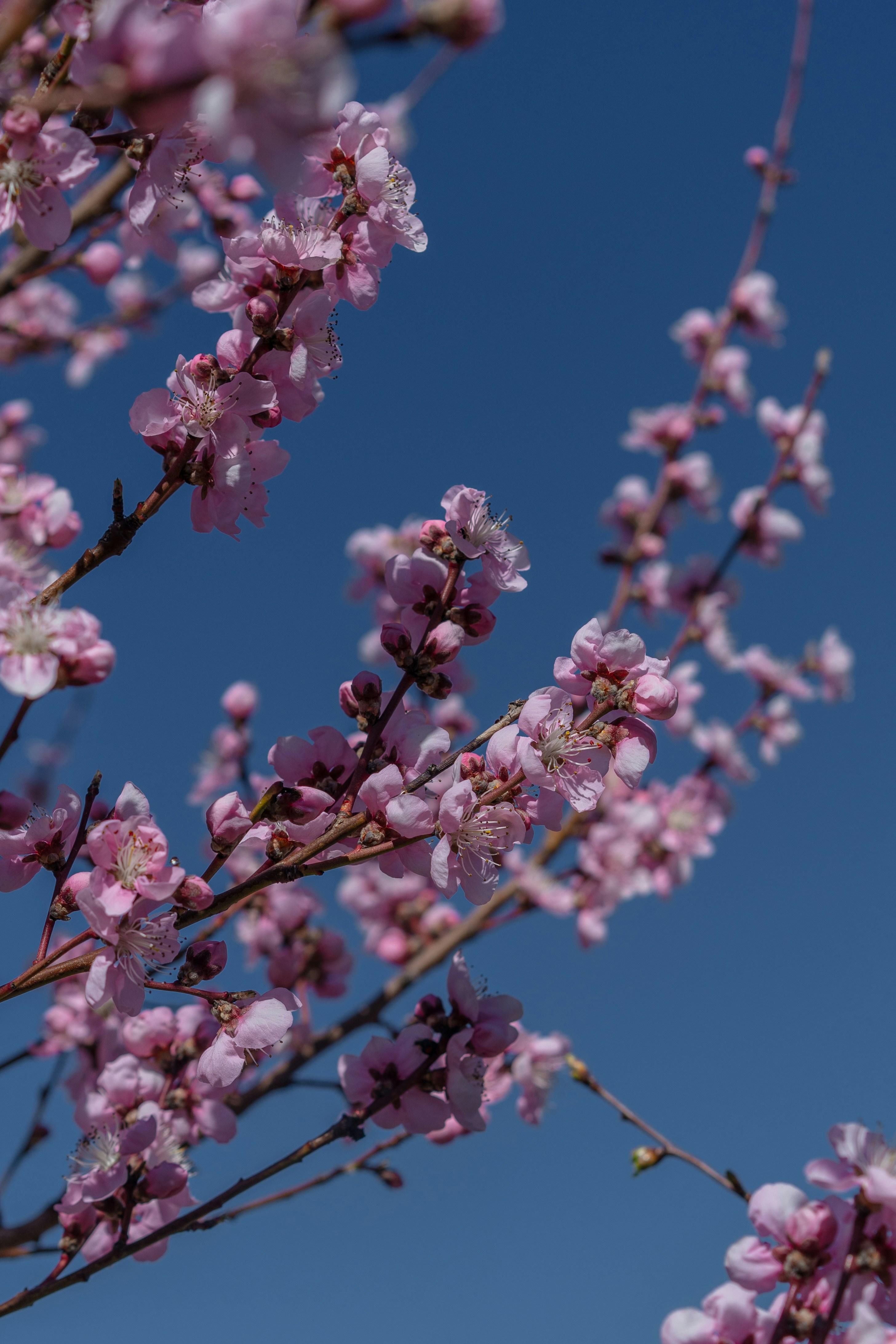 Photo by winstontjia