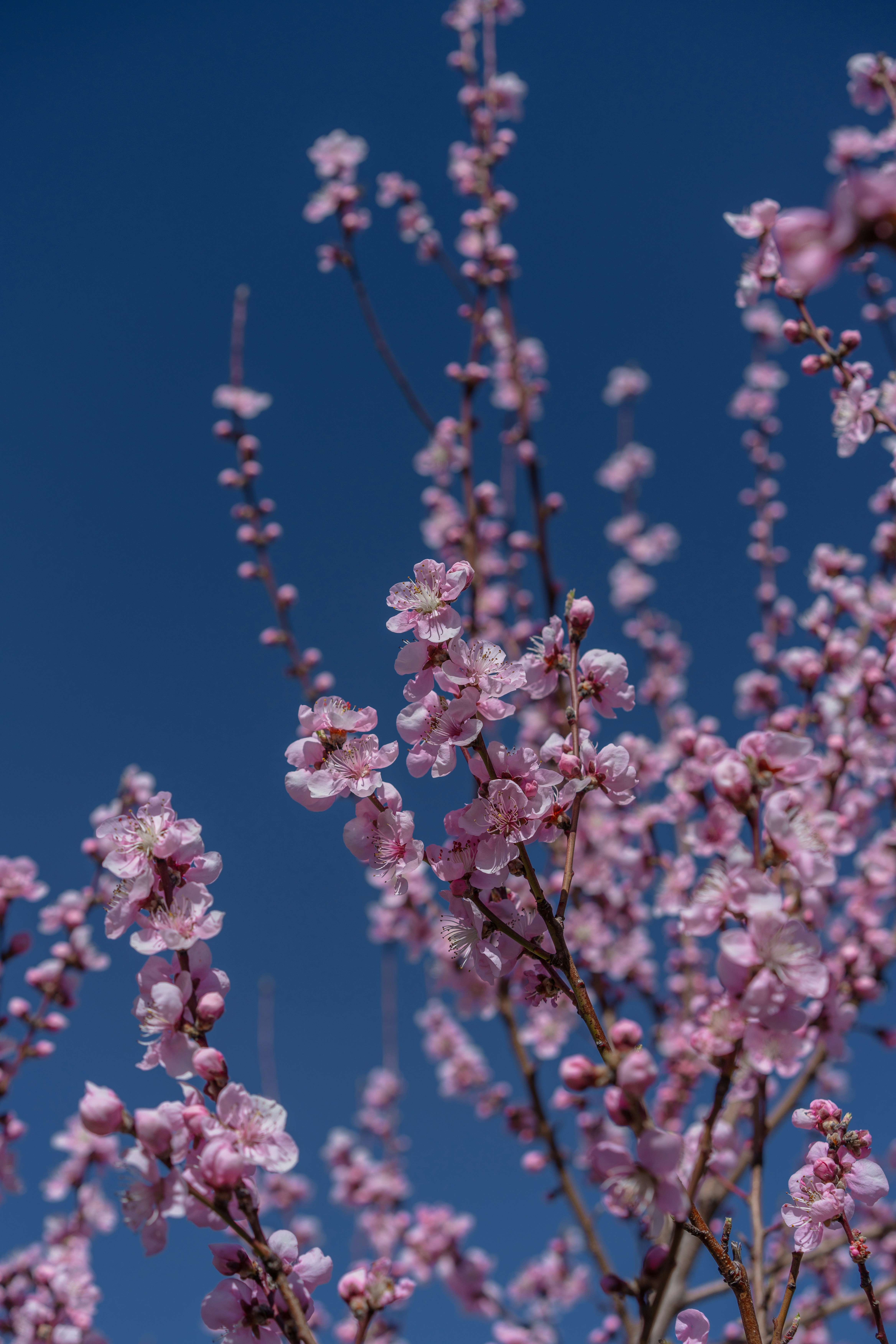 Photo by winstontjia