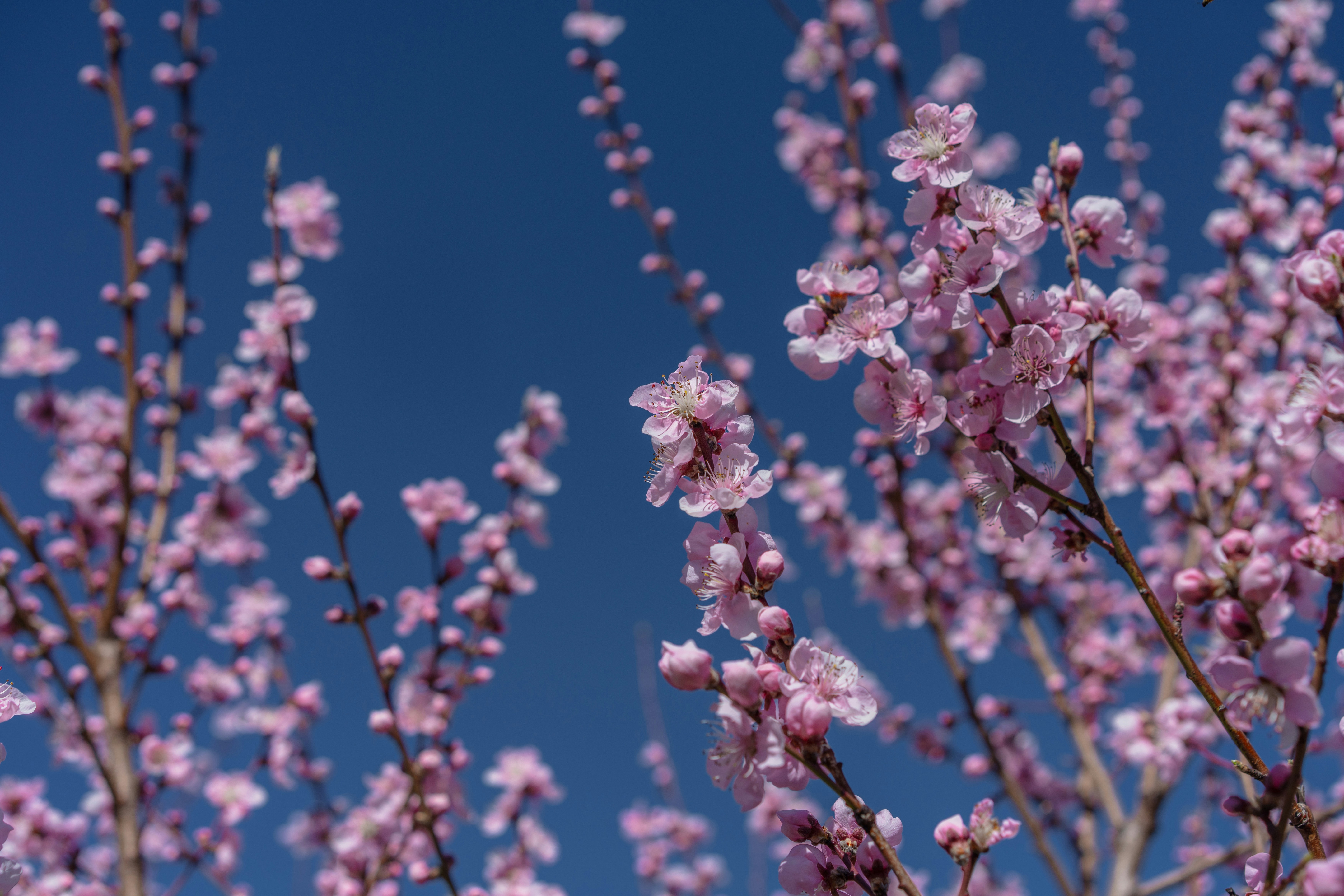 Photo by winstontjia