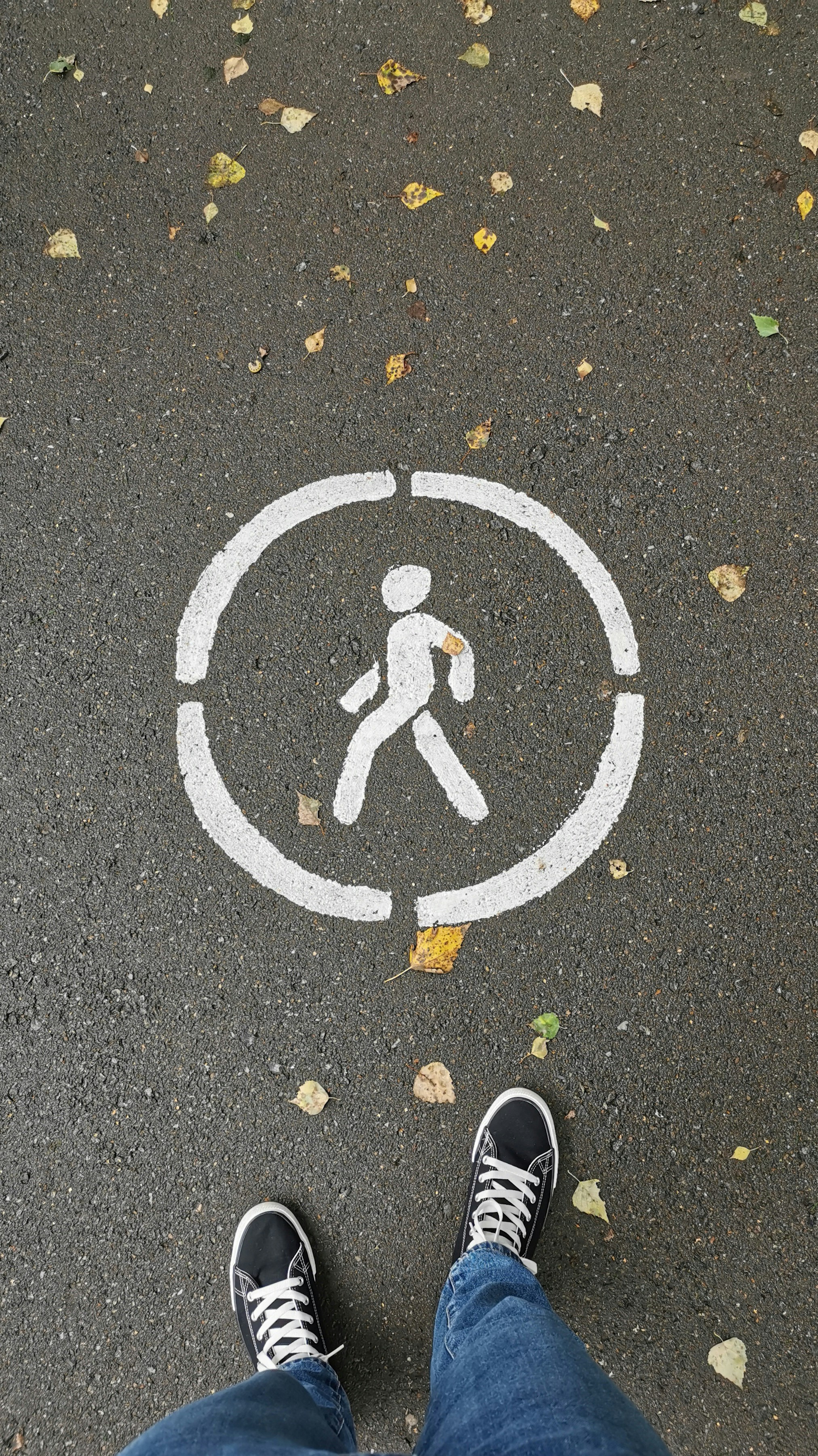 A person standing in front of a walk sign