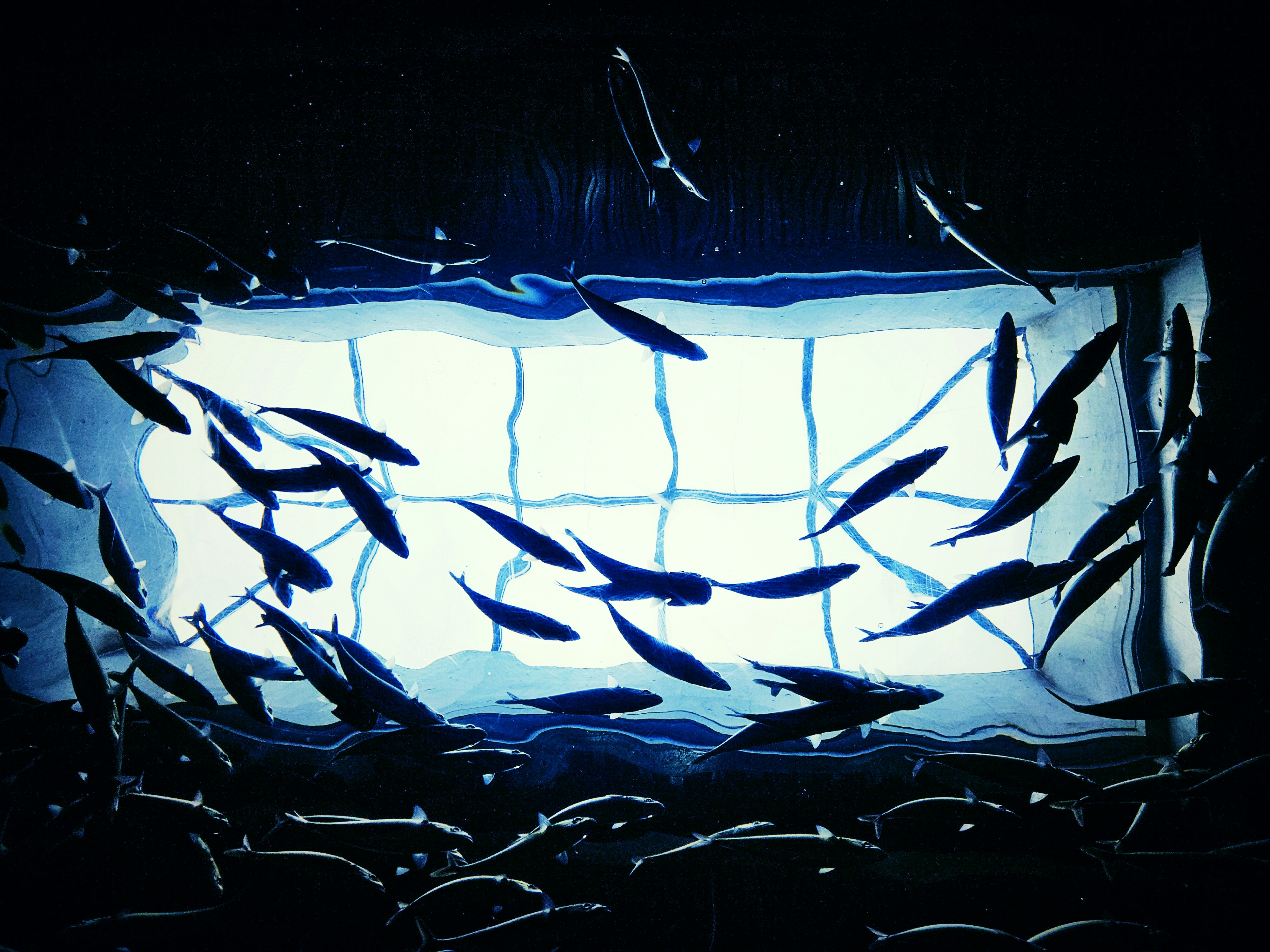 Vestuario de fútbol con camisetas colgadas antes de un partido