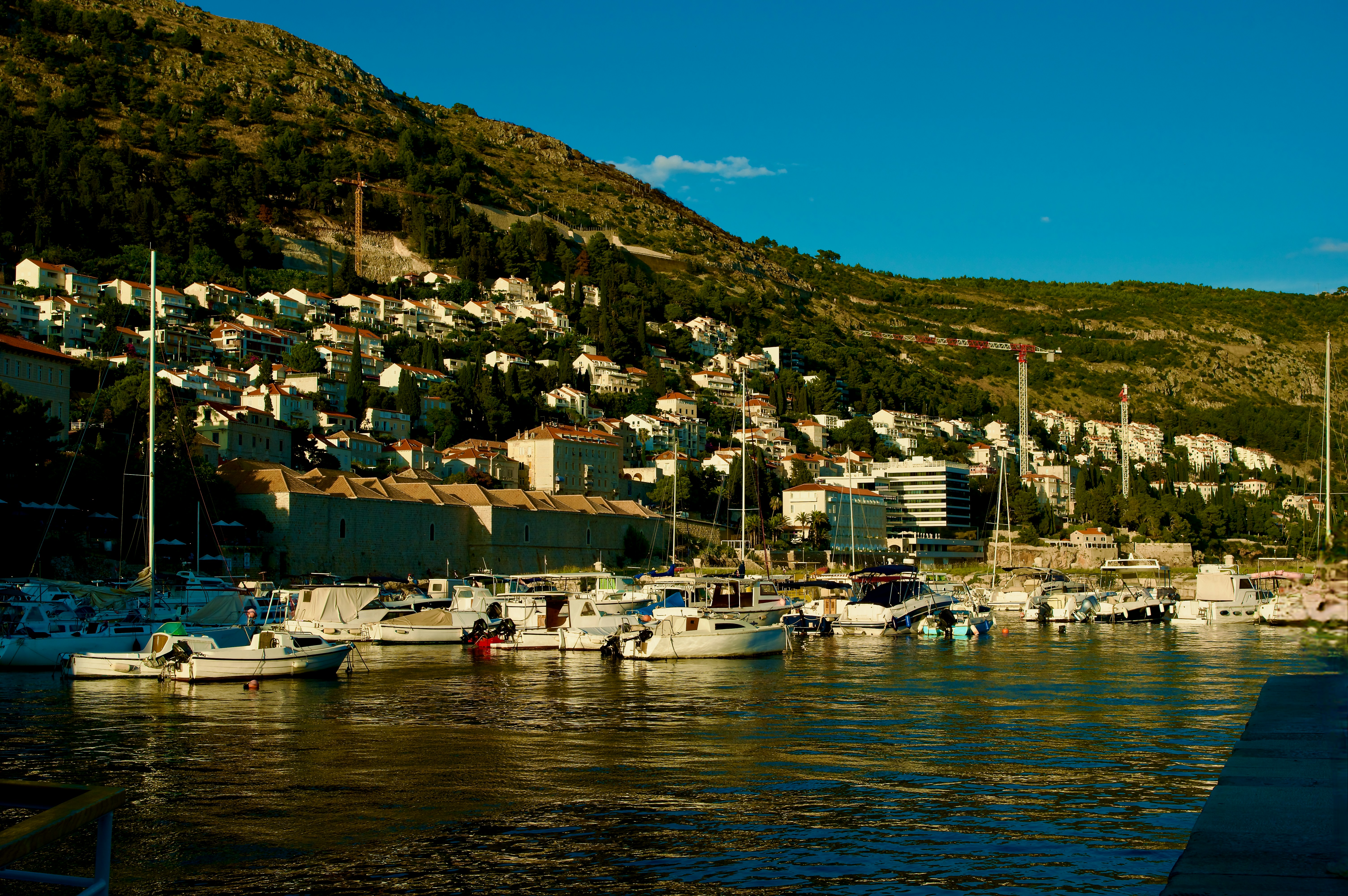 A harbor filled with lots of boats next to a hillside