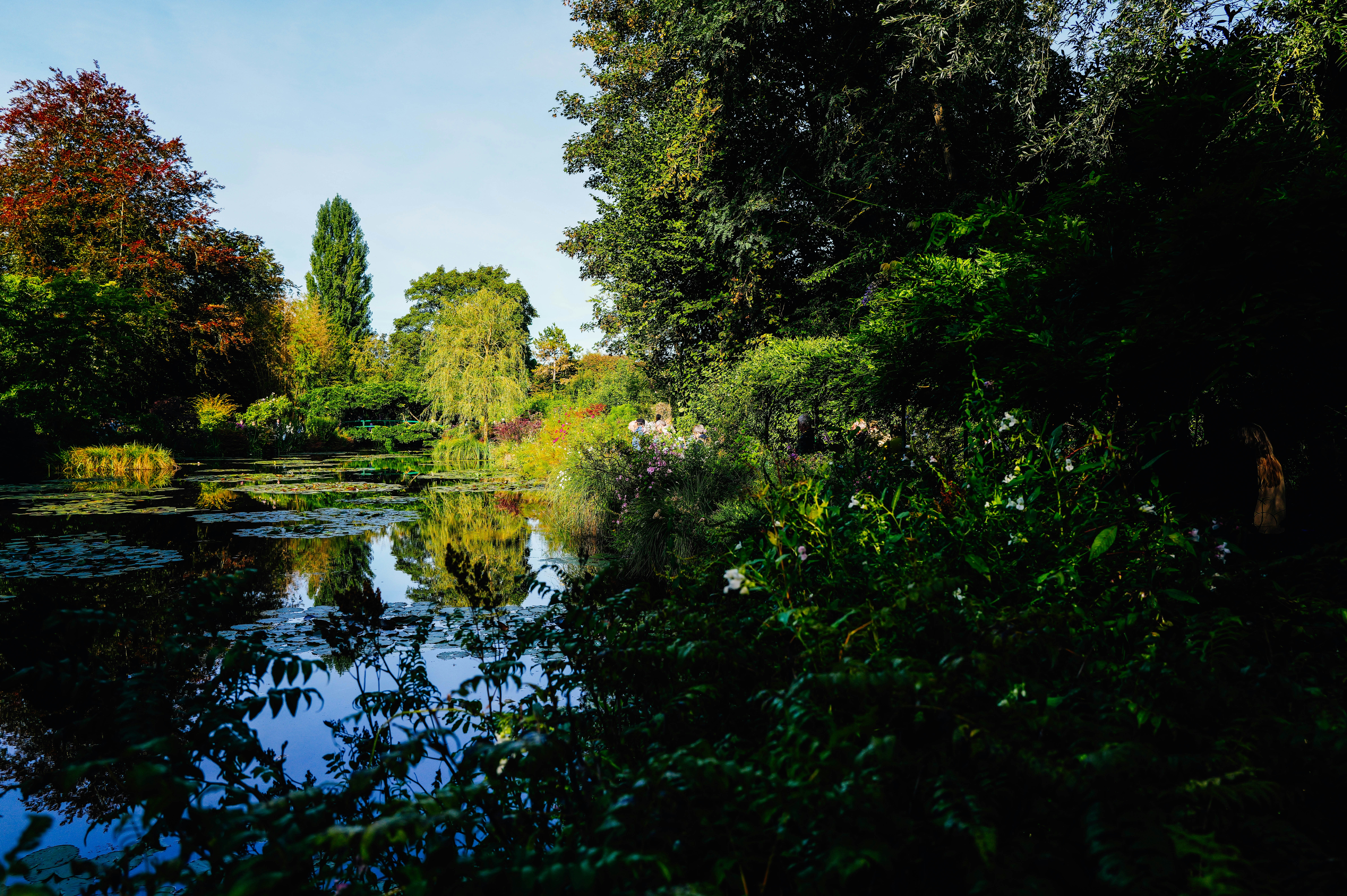 Photo by adrienolichon