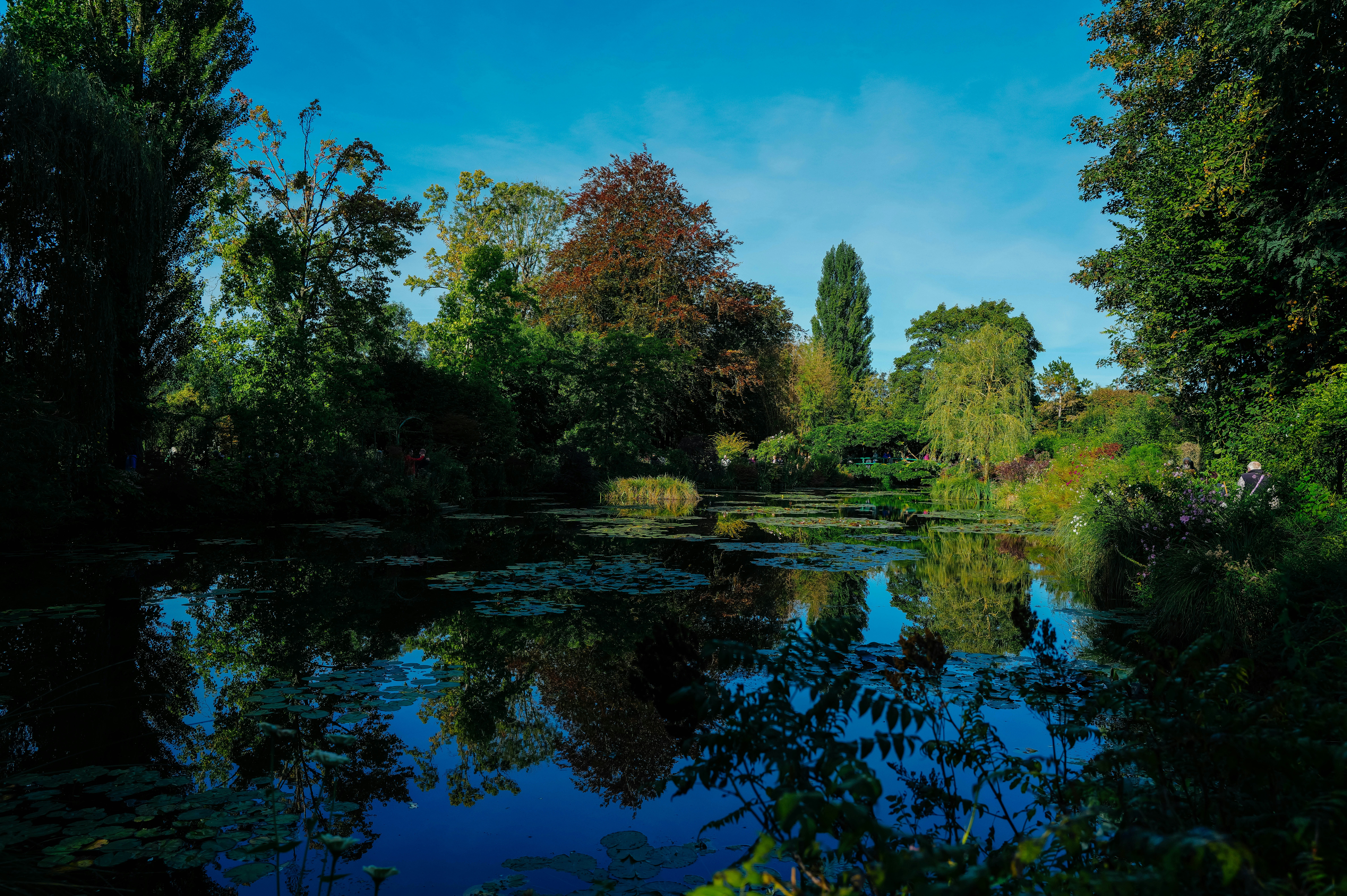 Photo by adrienolichon