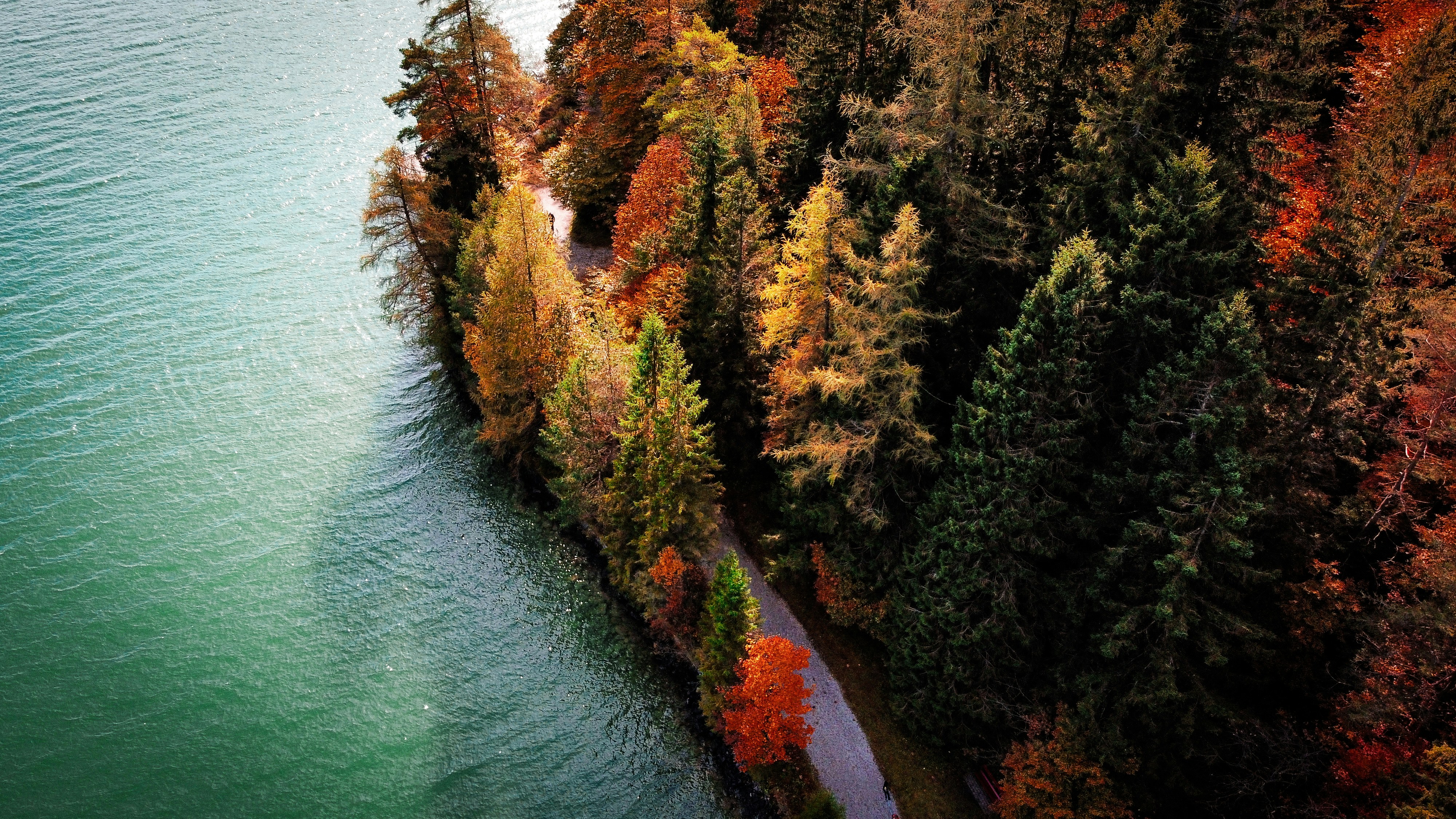 Photo by shutter_speed_