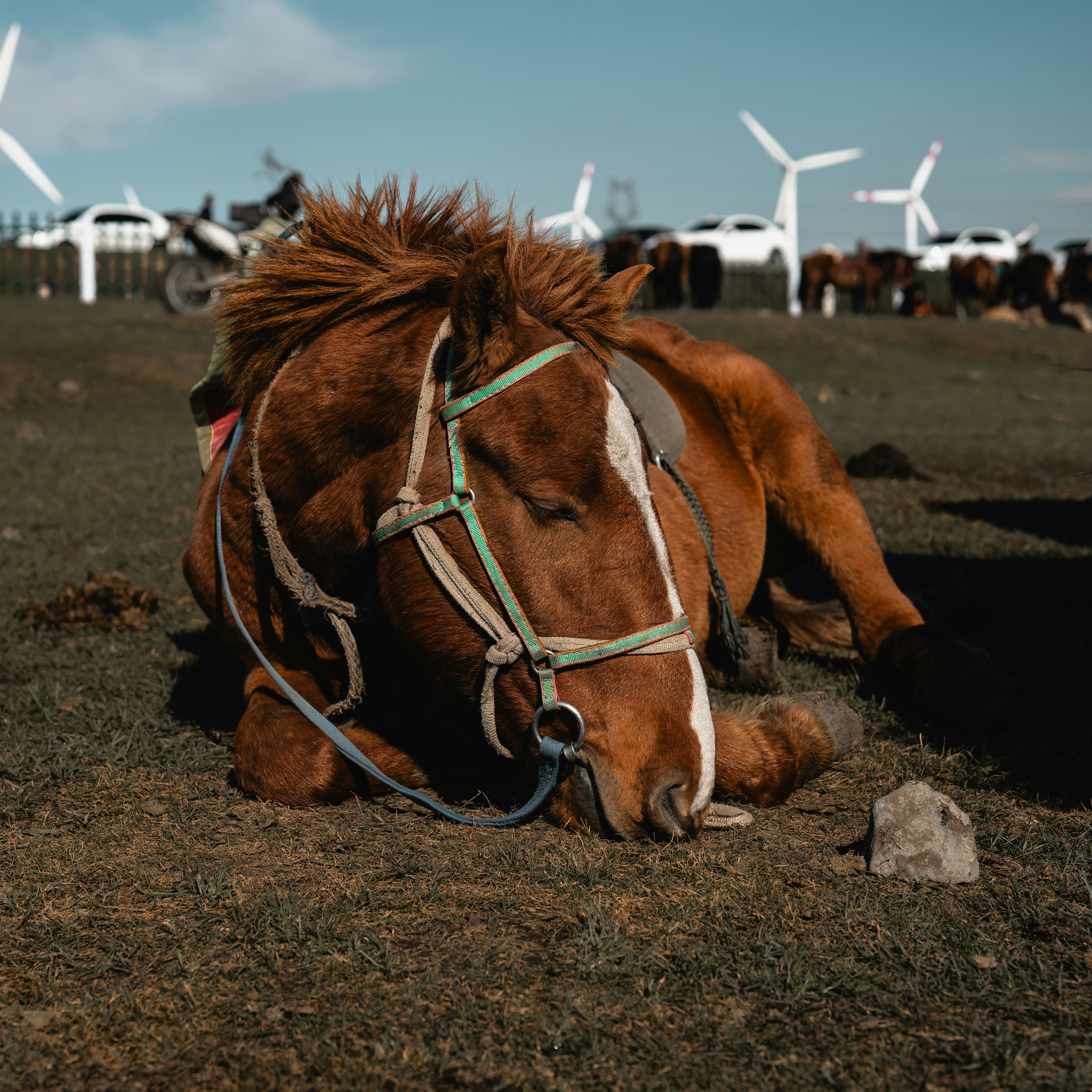 A peaceful sleeping environment