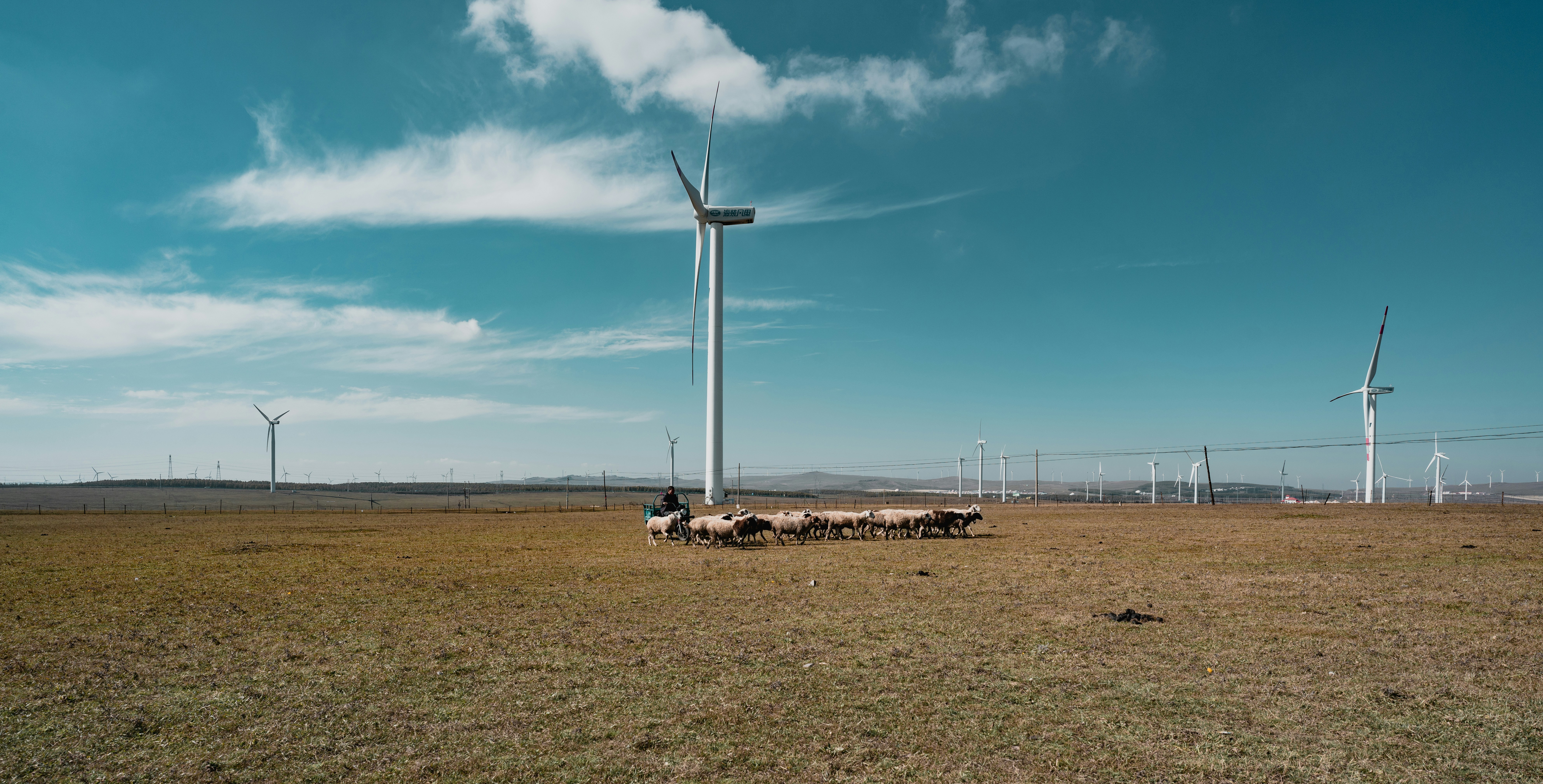 内蒙古自治区促进增量配电网高质量发展的若干措施（试行）发布！-中电数媒-数字电网新门户