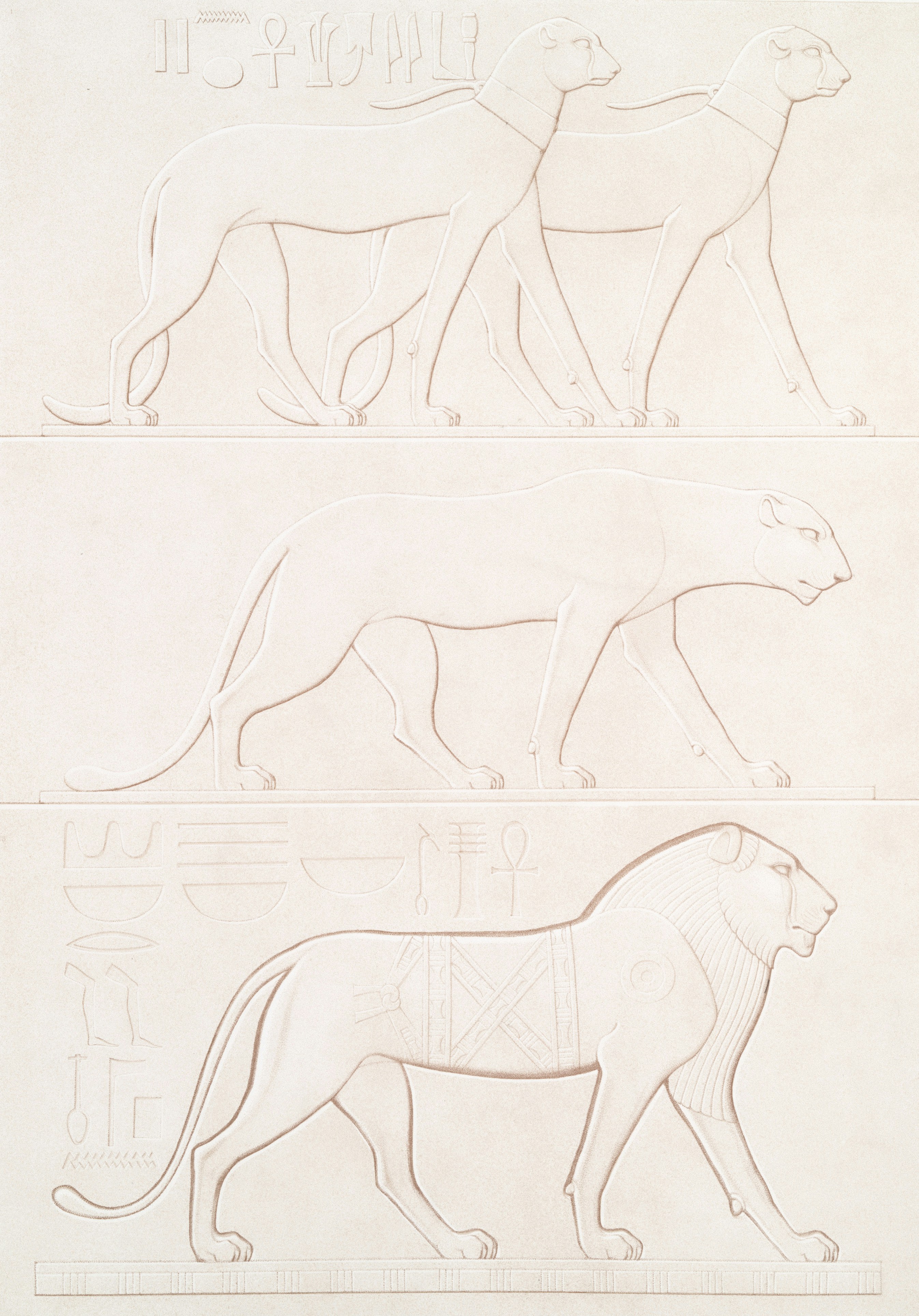 Illustration contrasting narrow AI with general AI in various scenarios