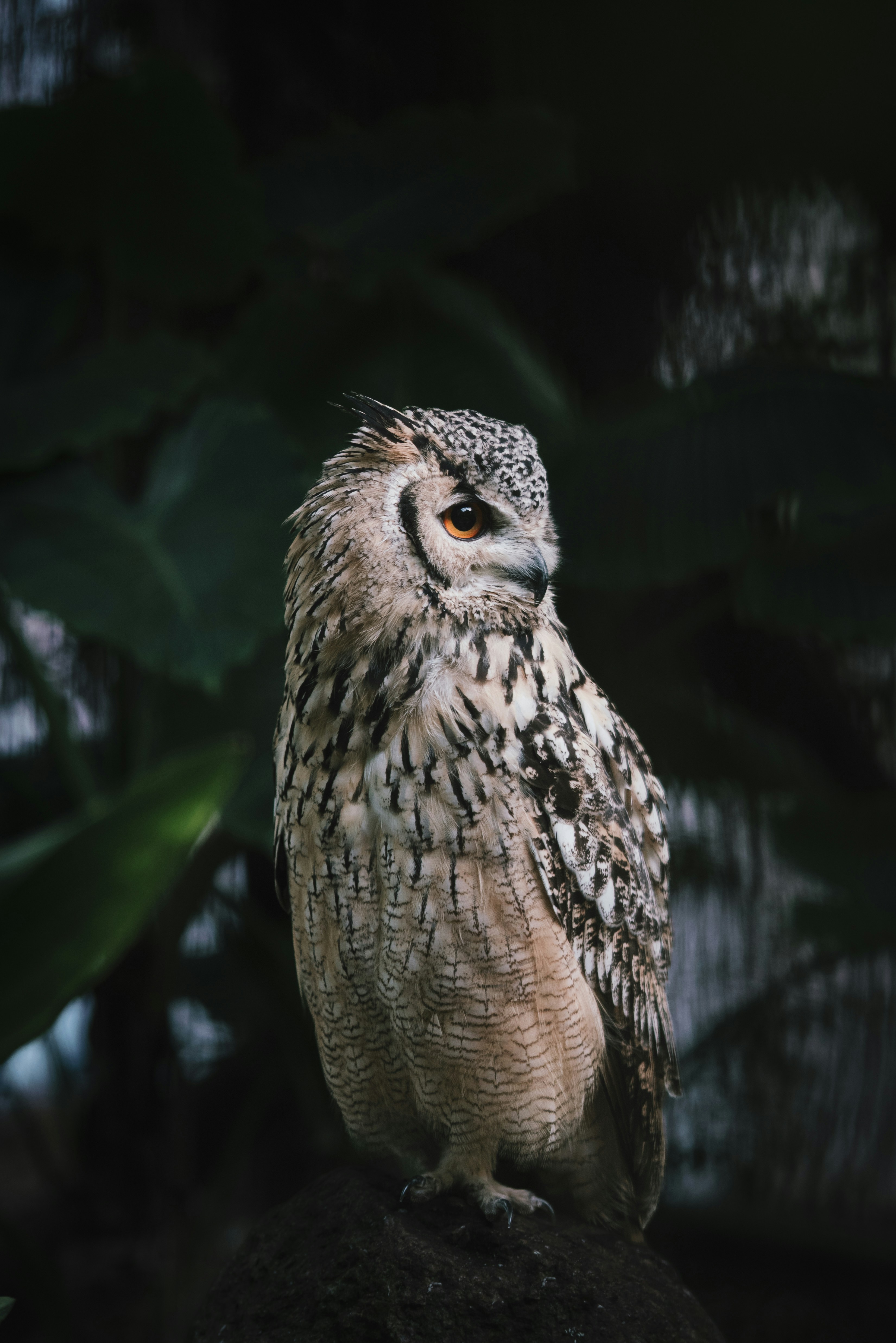 Photo by brotakesphotos