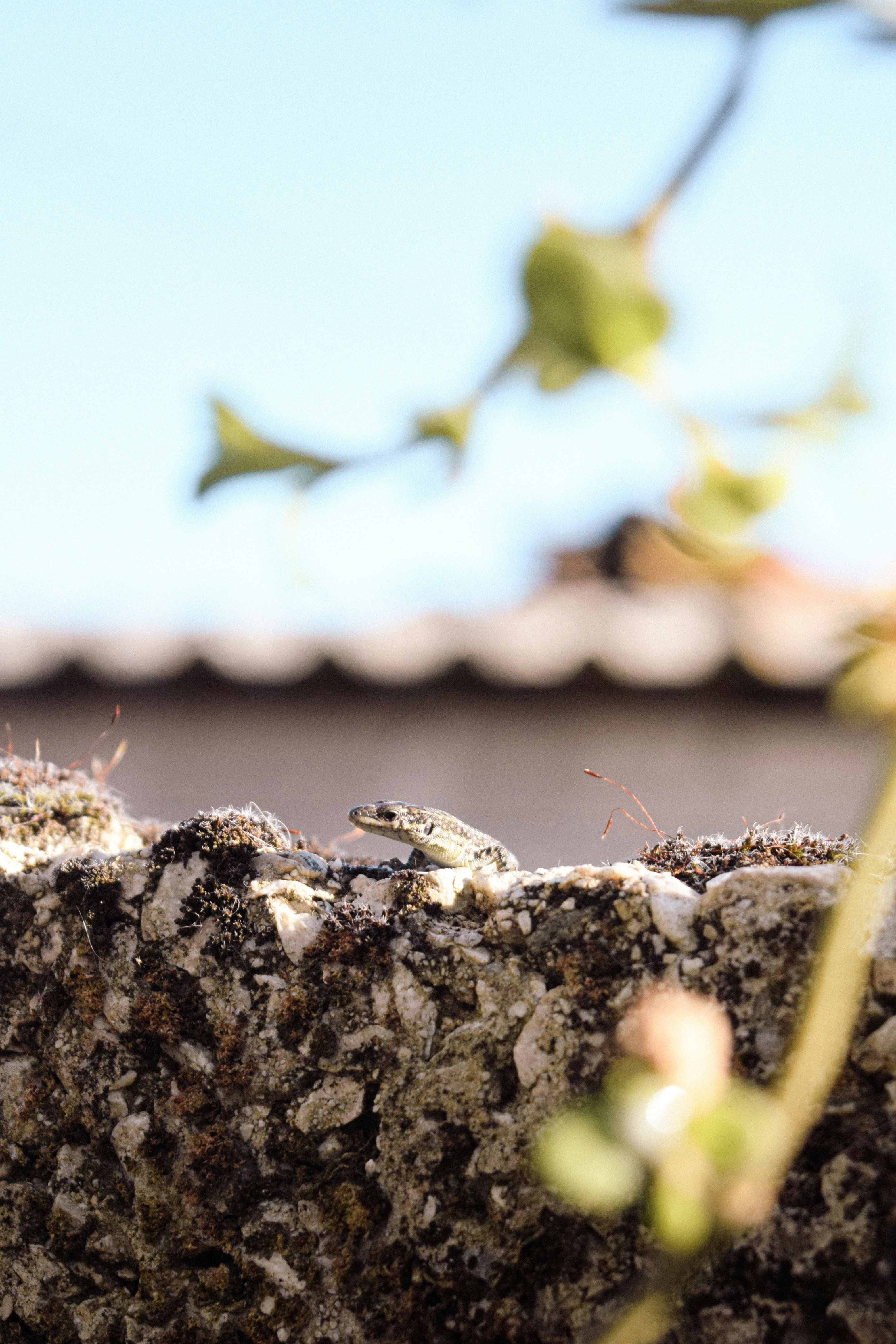 Photo by diianamfernandes