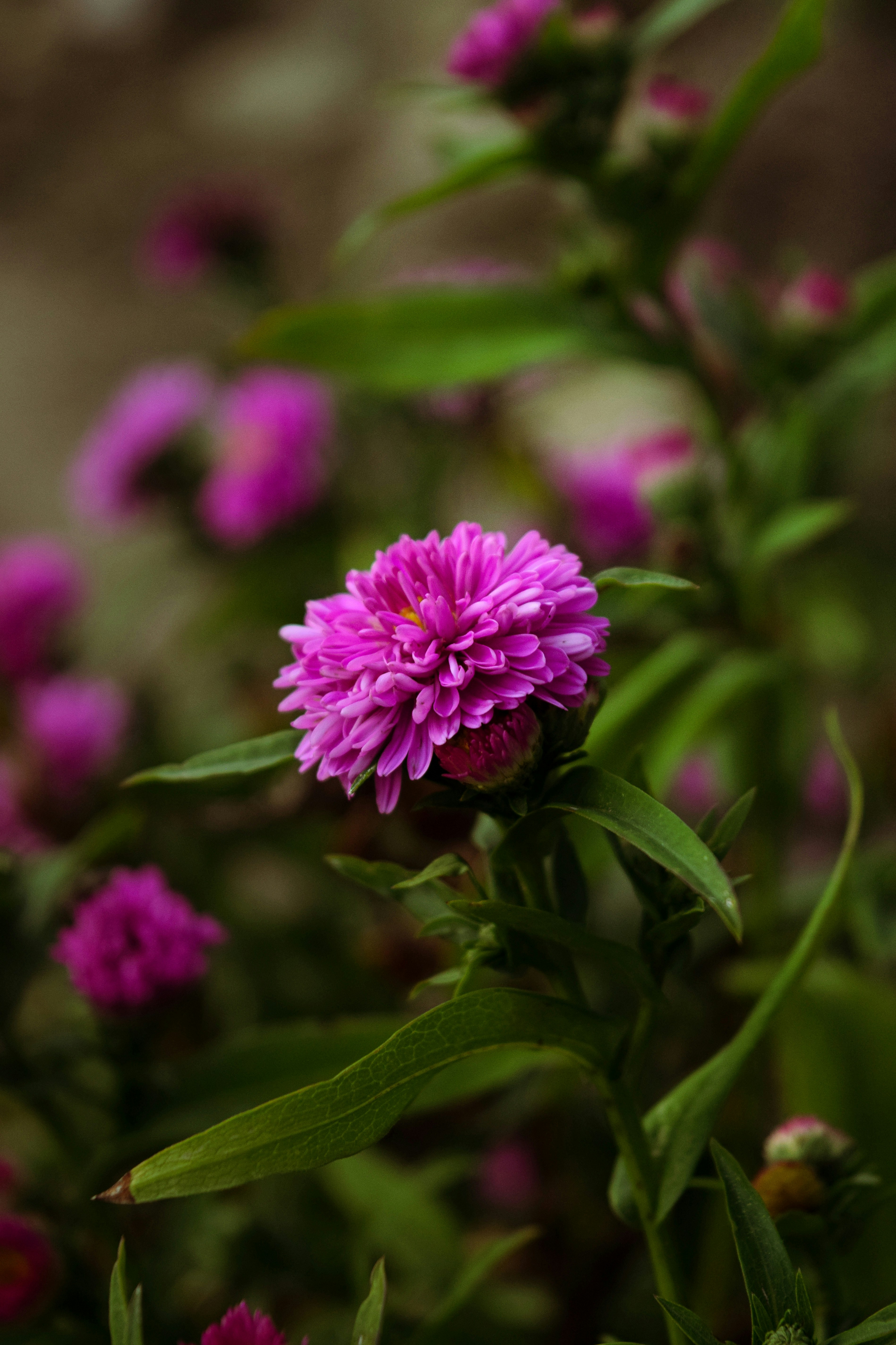 Photo by diianamfernandes