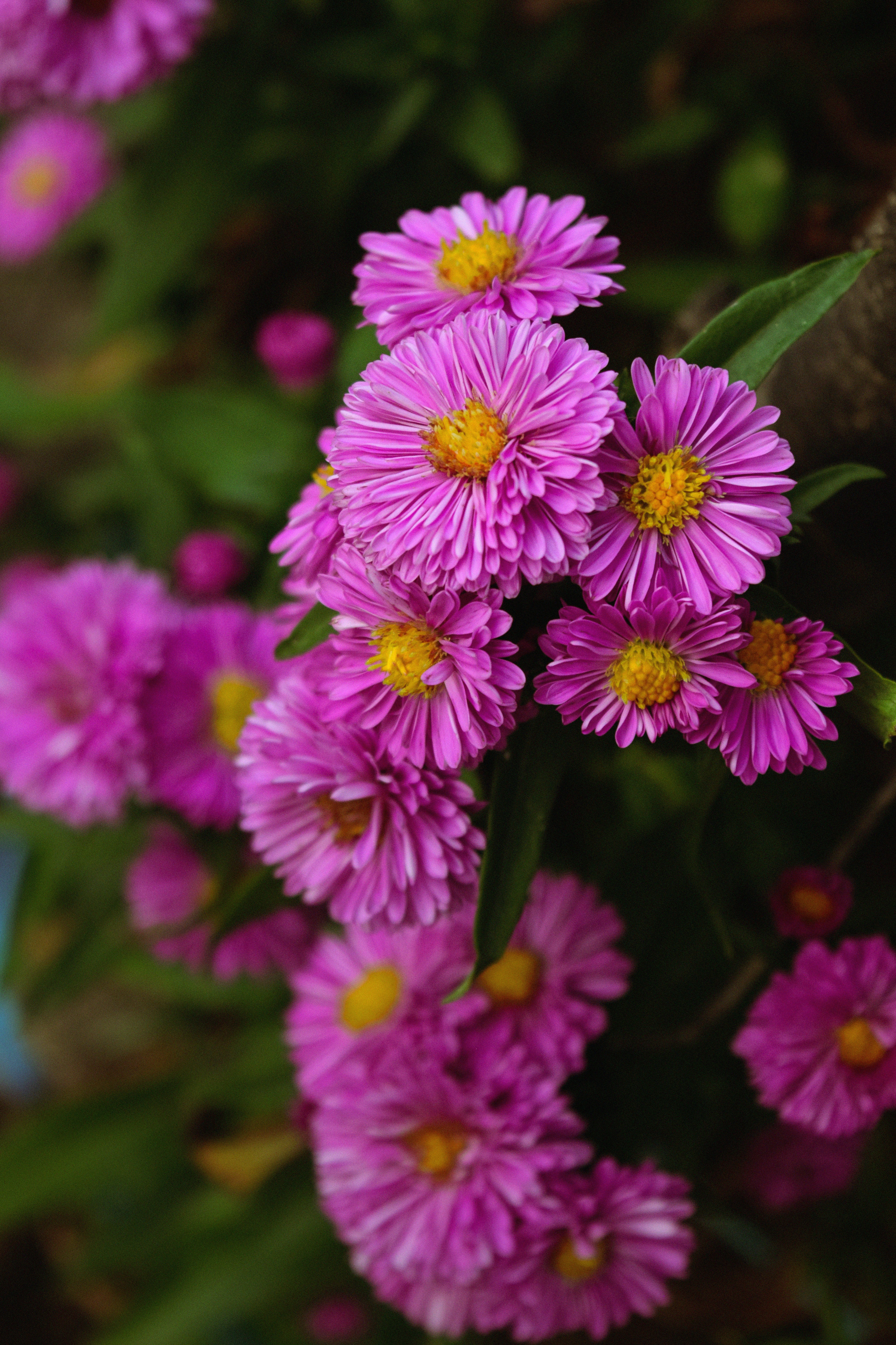 Photo by diianamfernandes