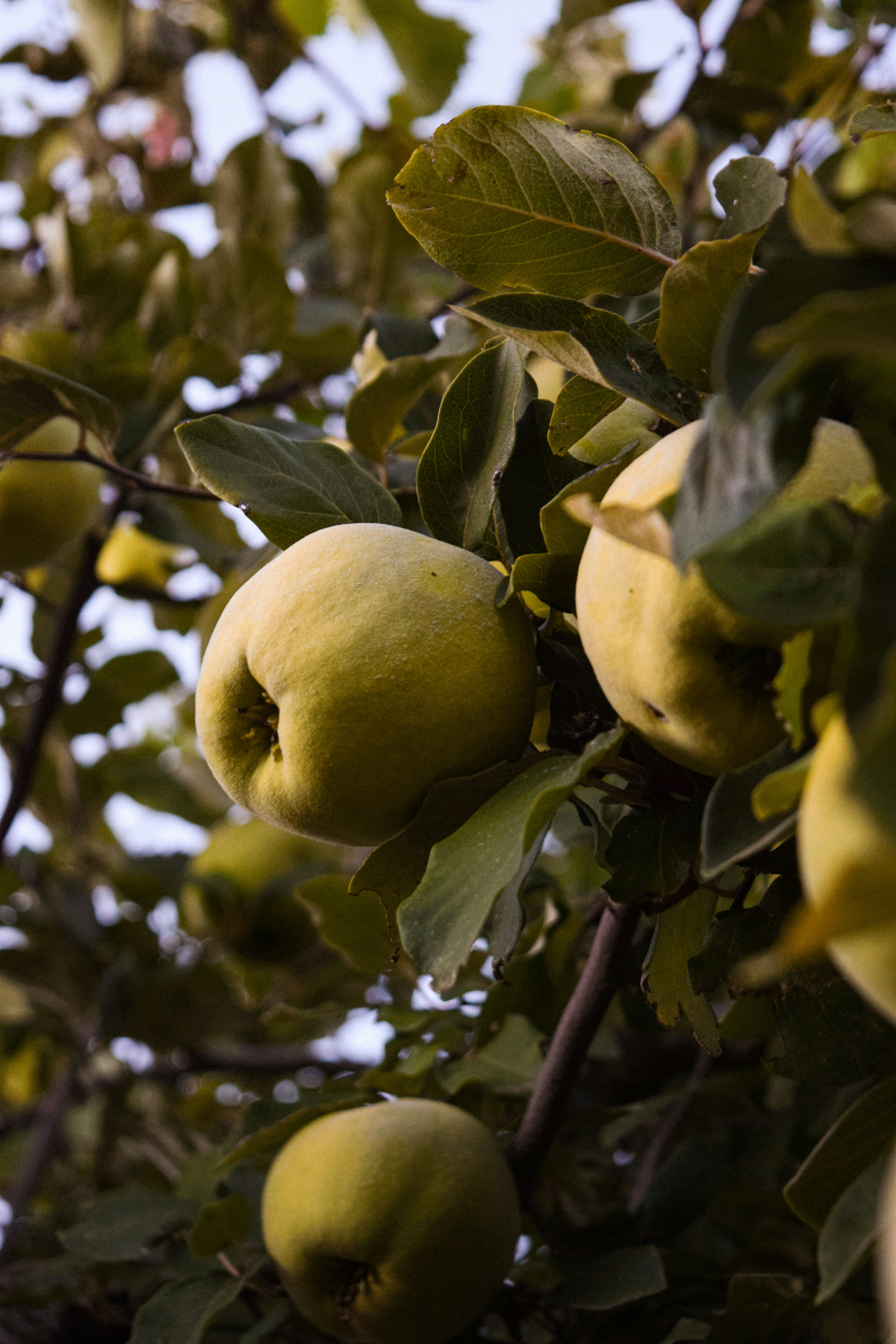 Photo by diianamfernandes