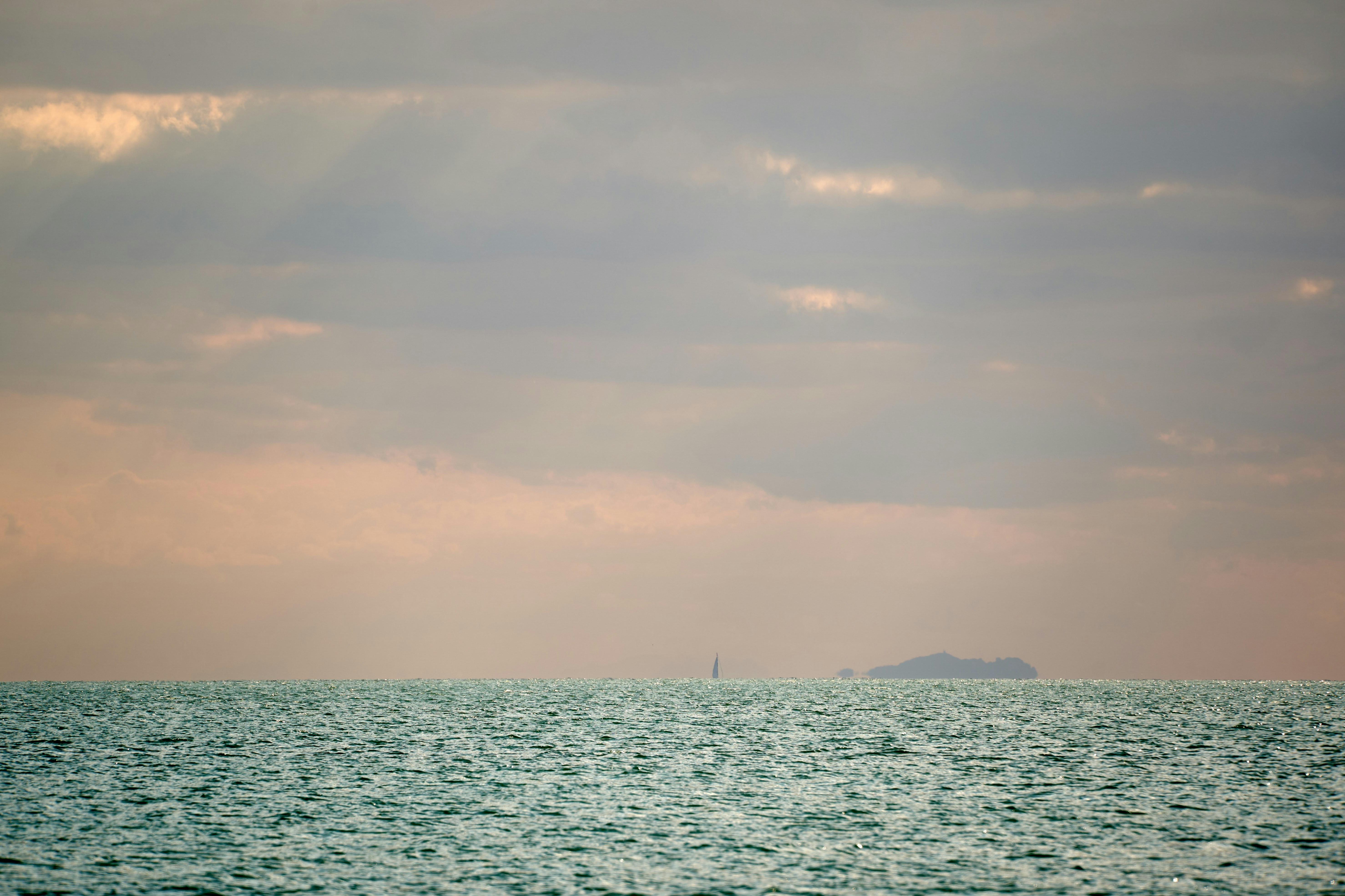 Photo by wolfgang_hasselmann