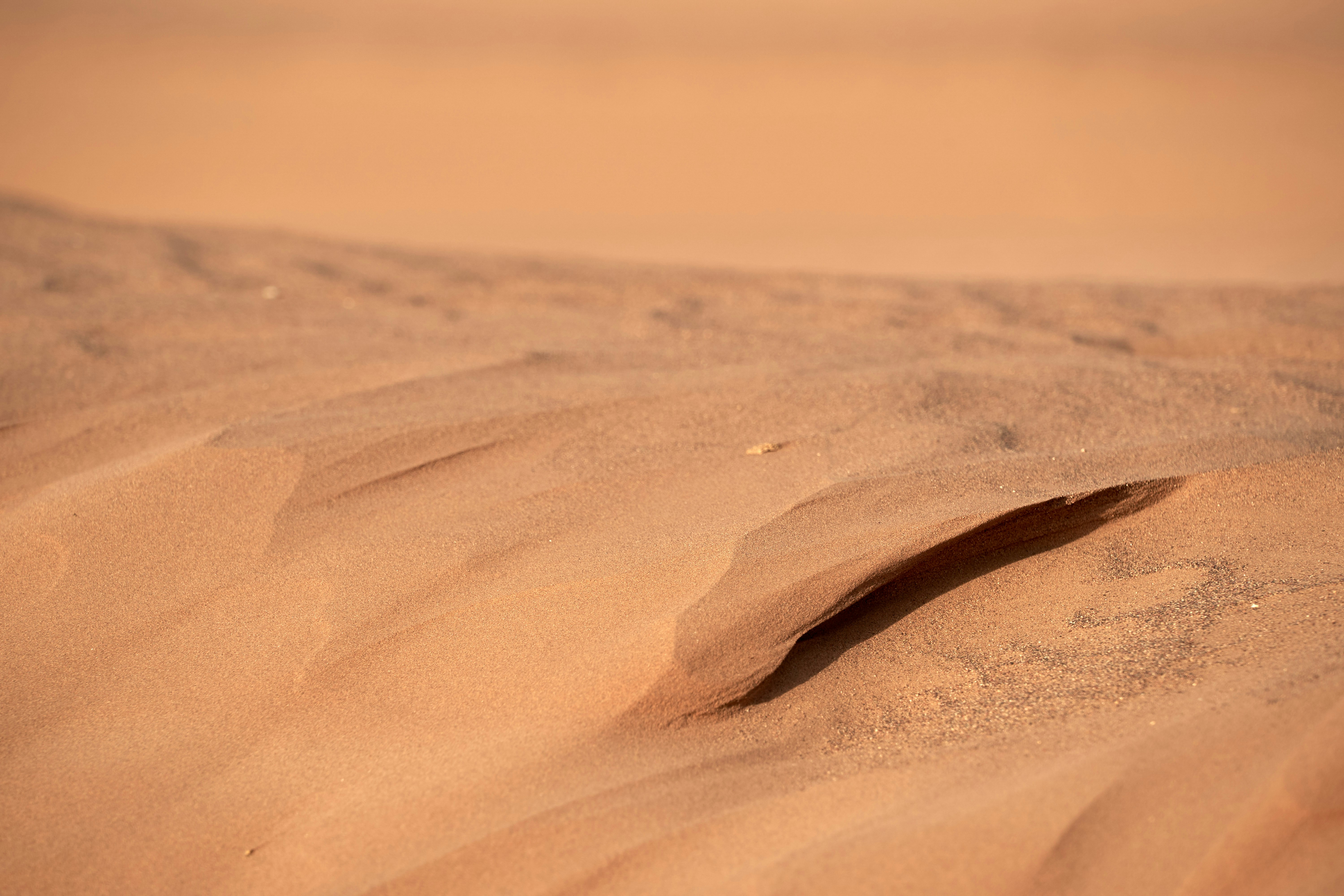 Photo by wolfgang_hasselmann