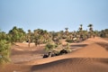 A desert with palm trees in the background