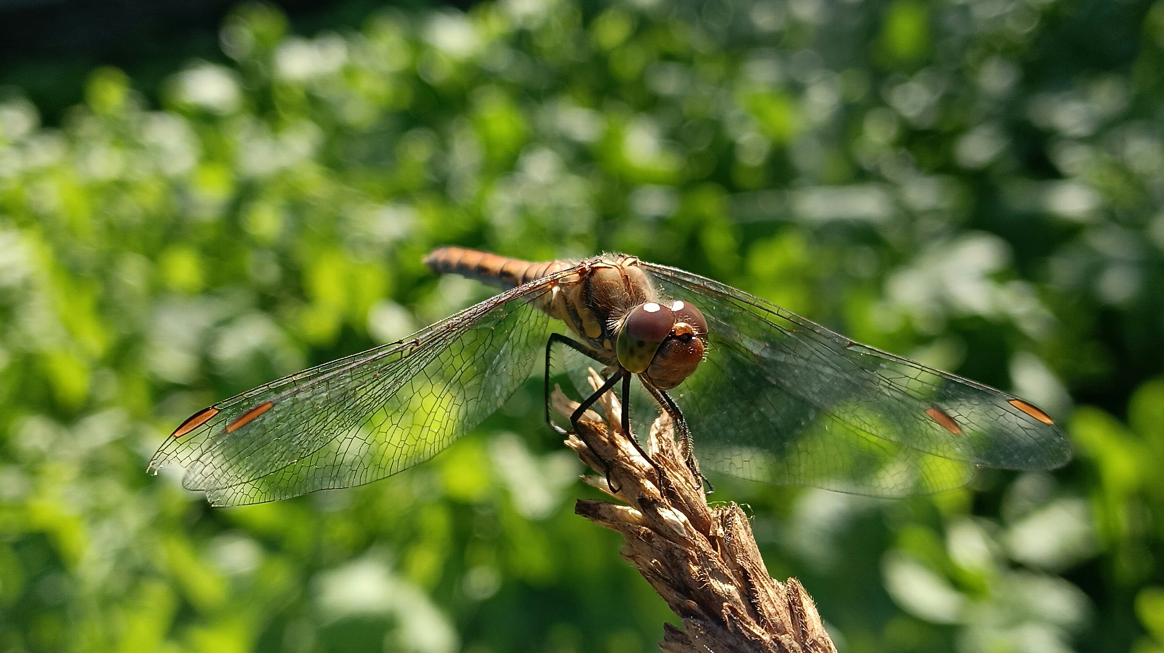 Photo by kazimbhai_photography