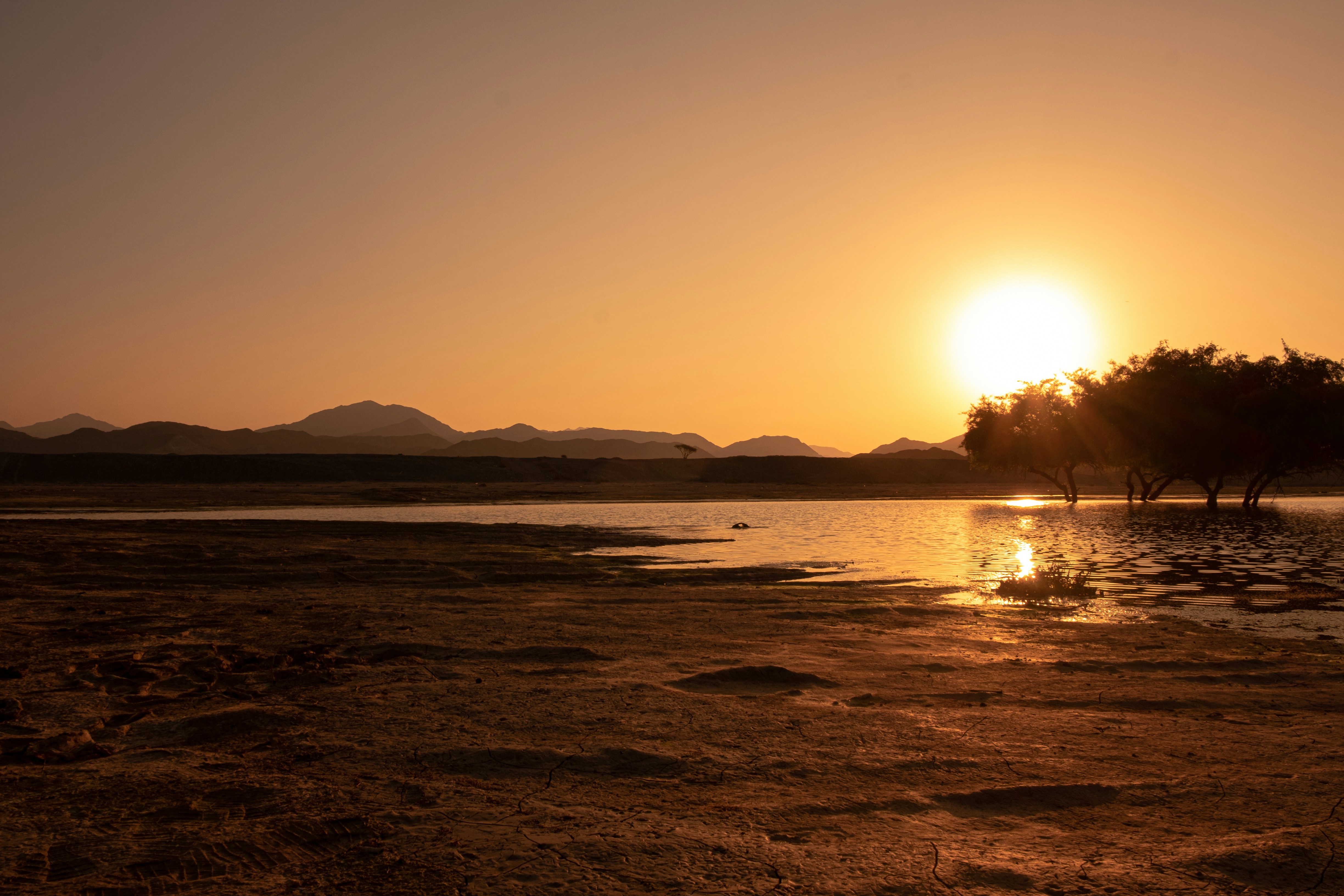 Photo by mo_design_3d