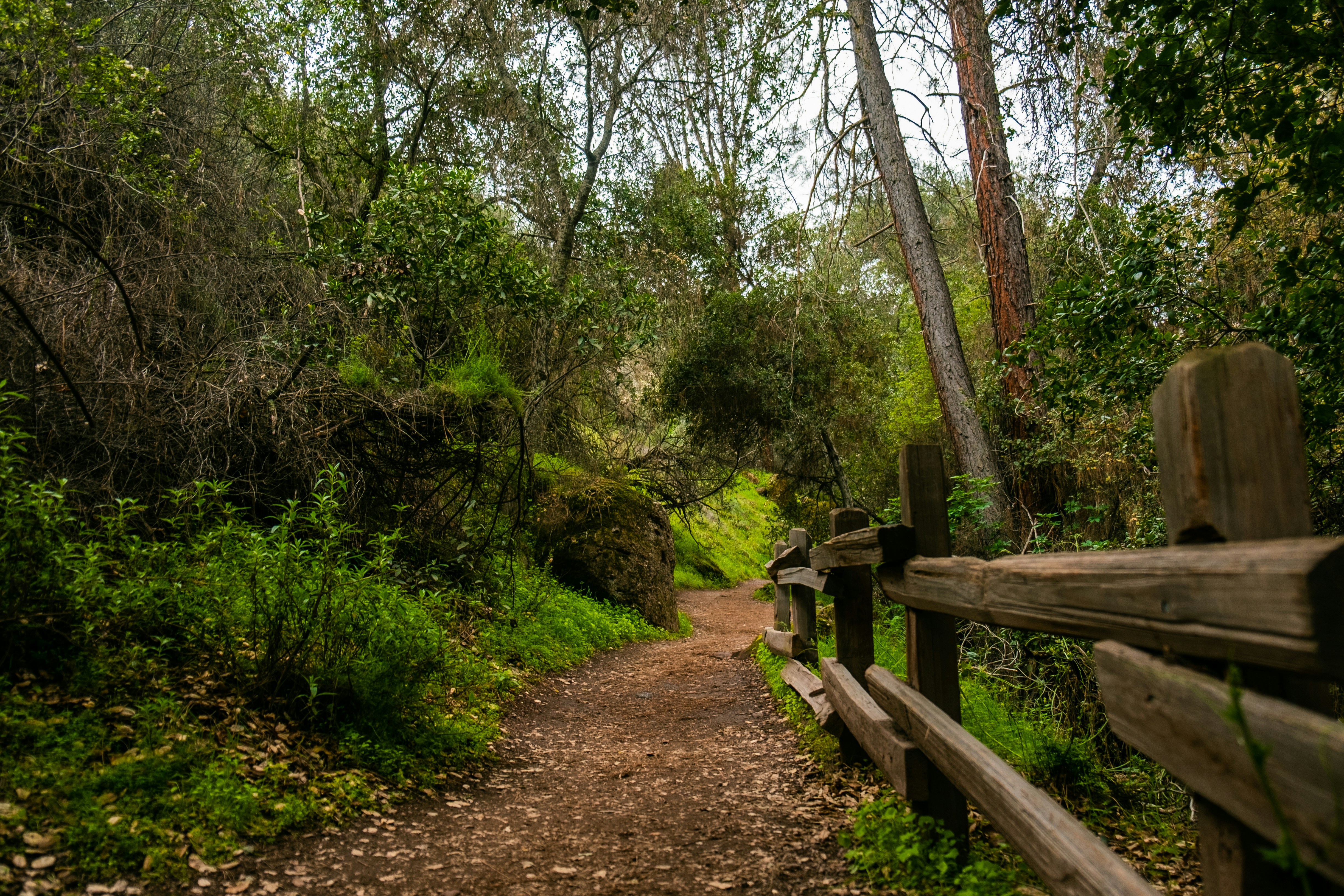 Photo by mo_design_3d