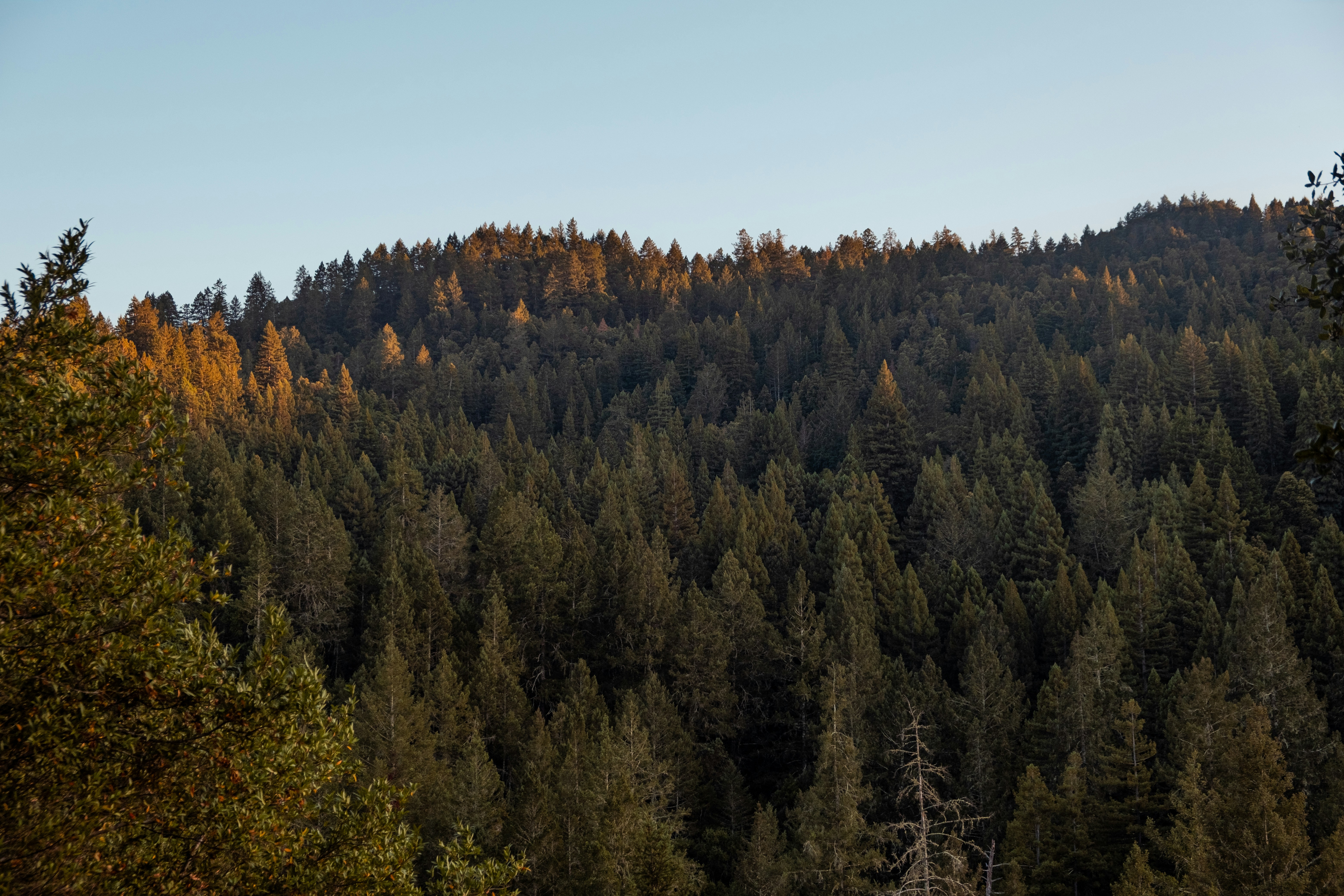 Photo by mo_design_3d