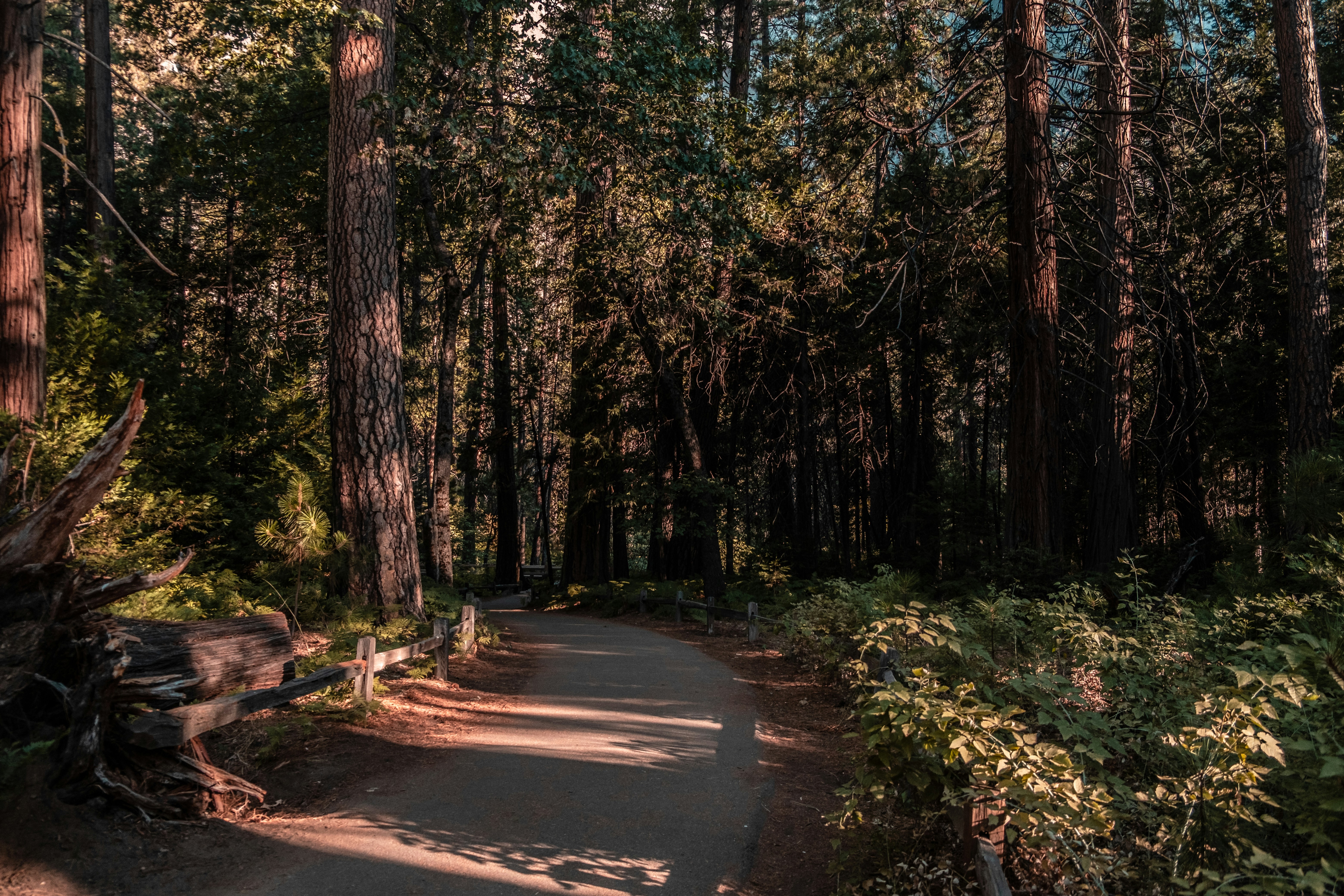 Photo by mo_design_3d