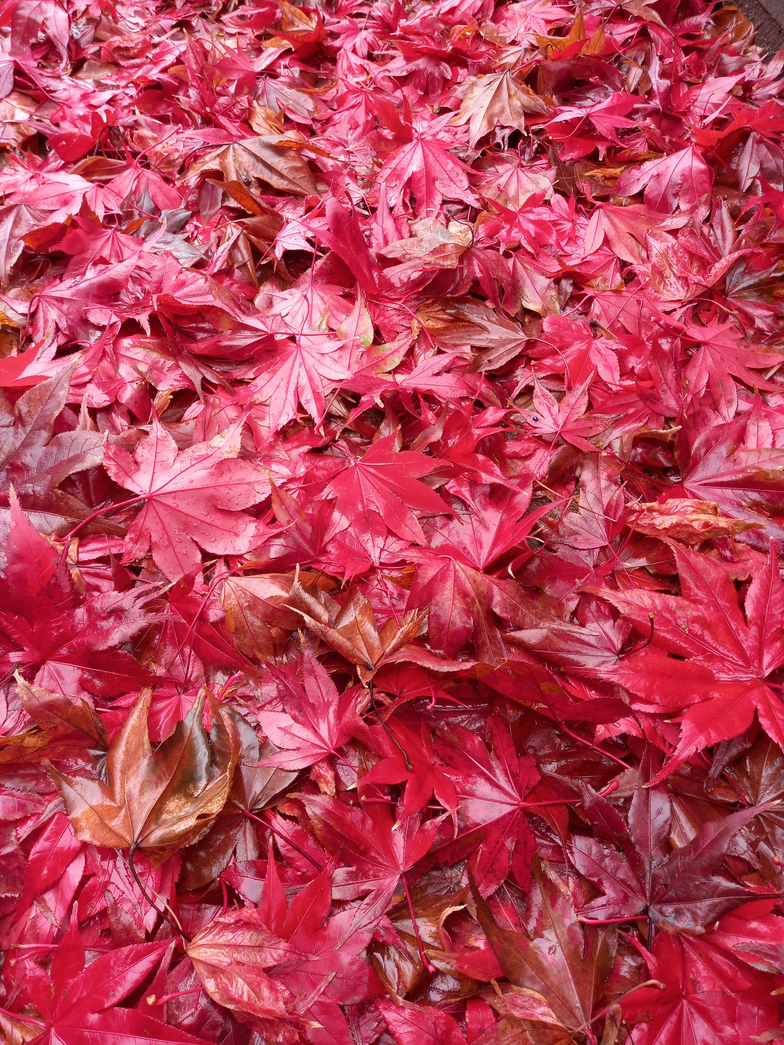 Photo by raspberry_bubbles