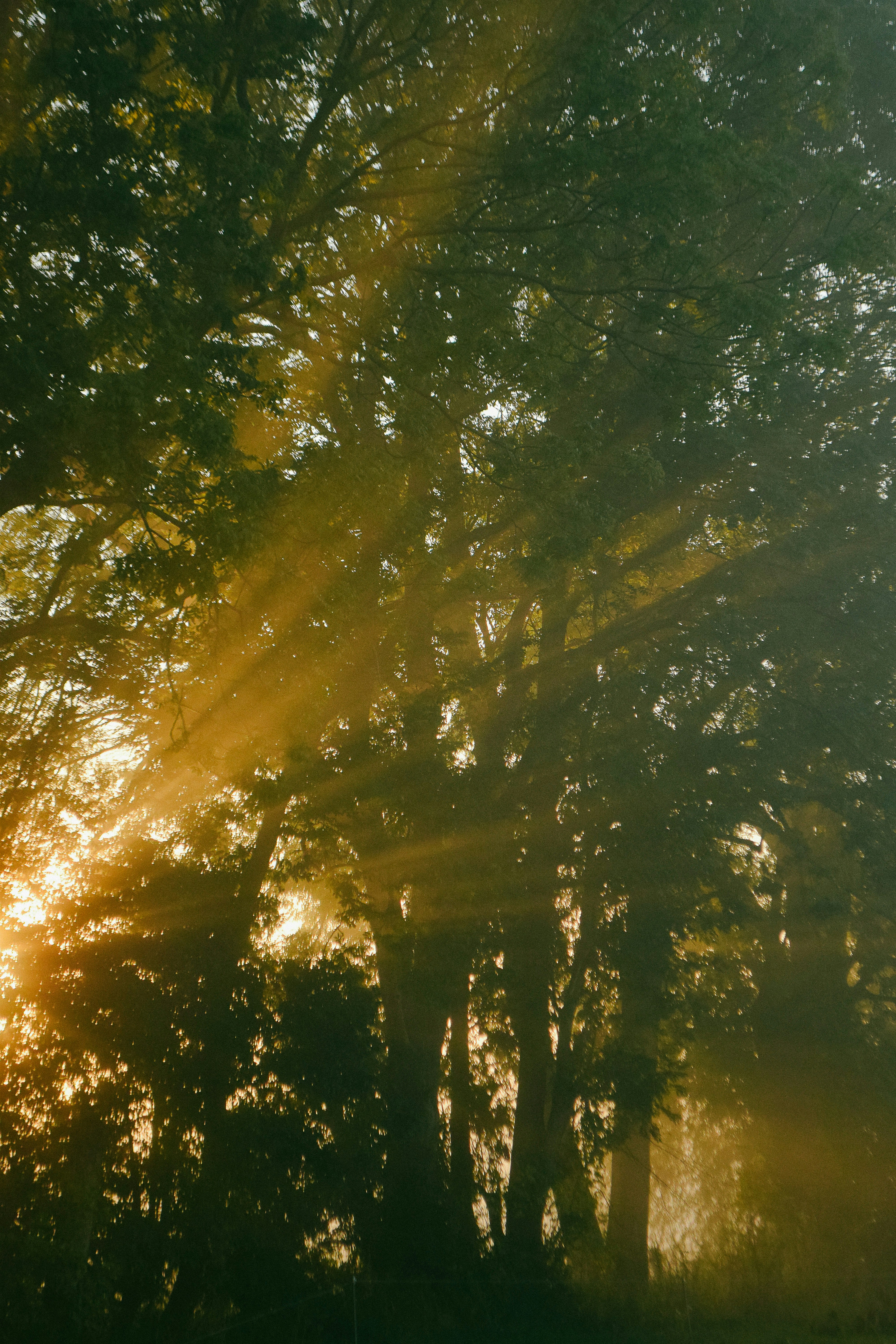 Photo by wanderlandjournal